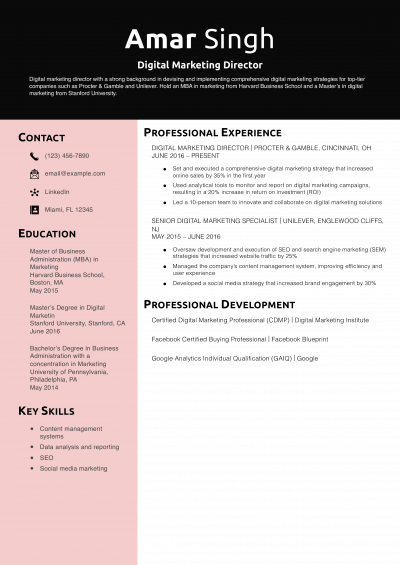 Digital Marketing Director Resume Example
