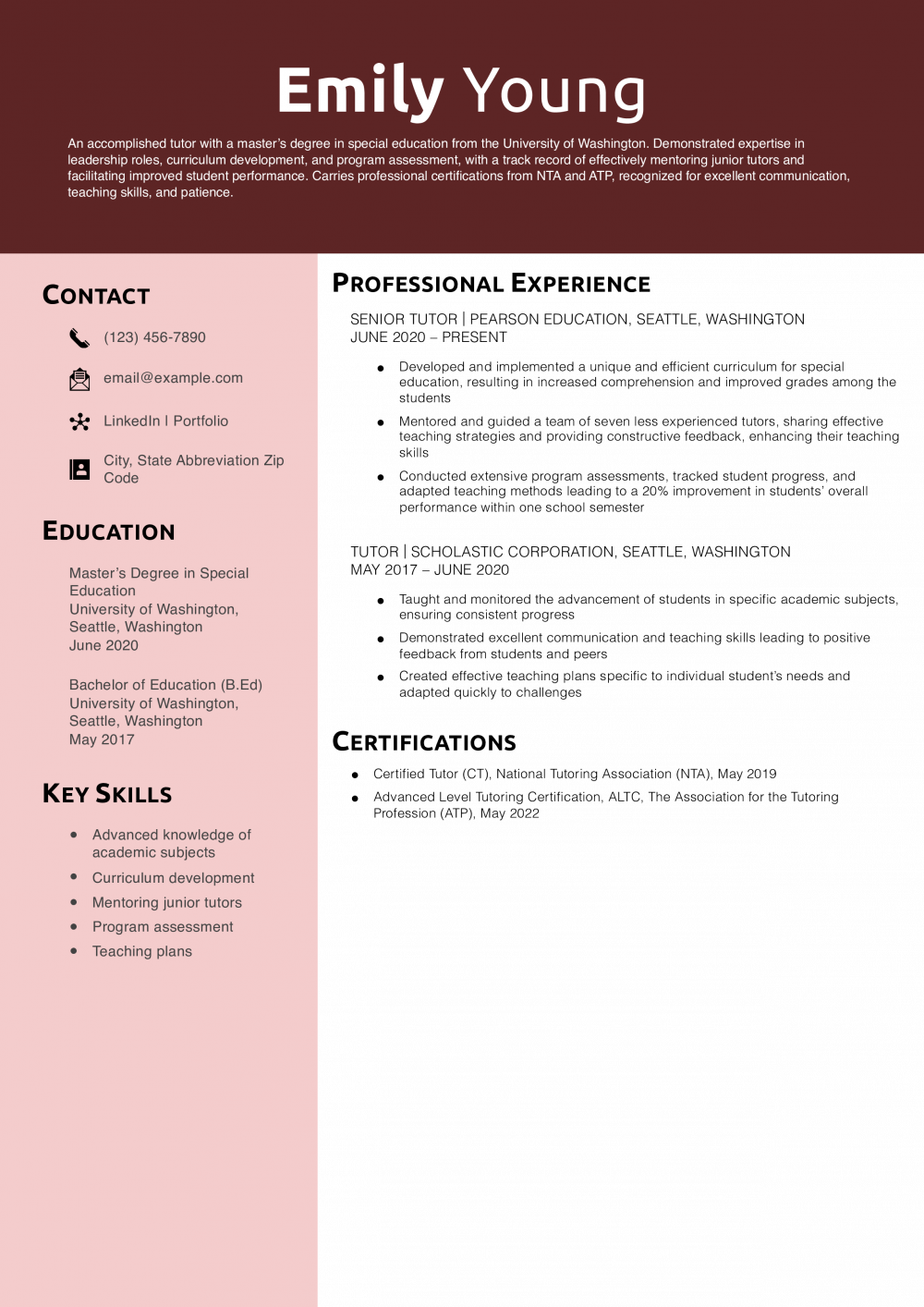 Senior-Level Tutor