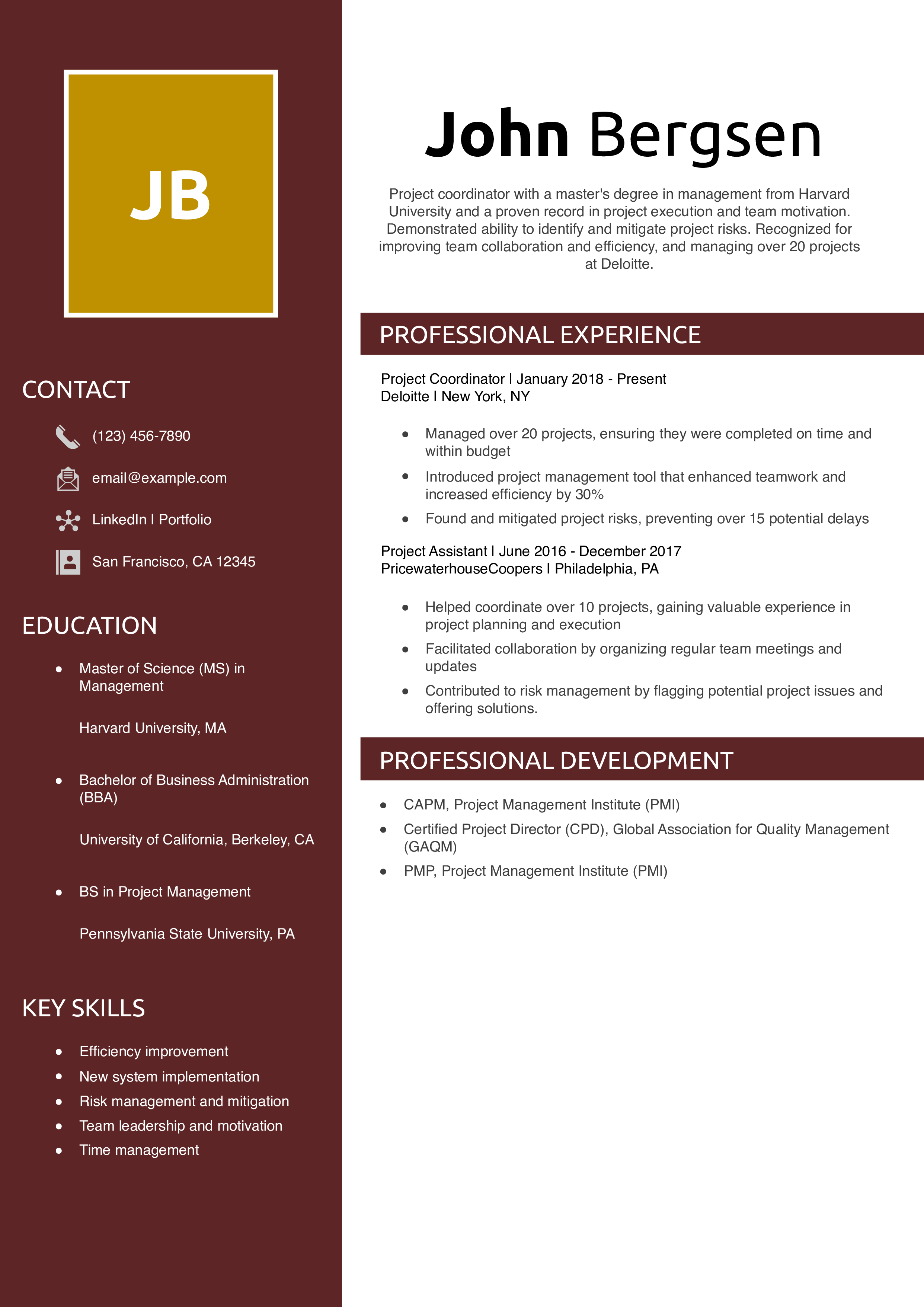 Project Coordinator Resume Example