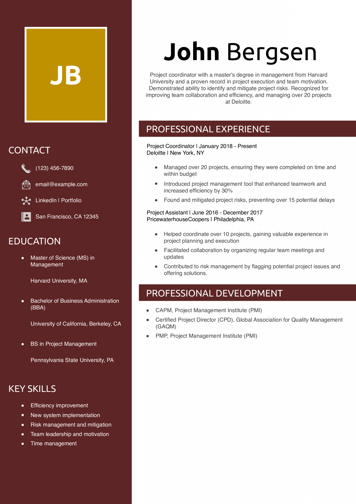 Project Coordinator Resume Example