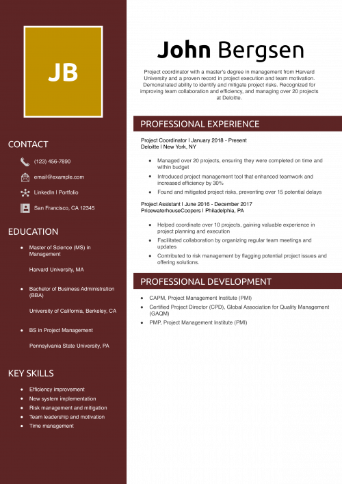 Project Coordinator Resume Example