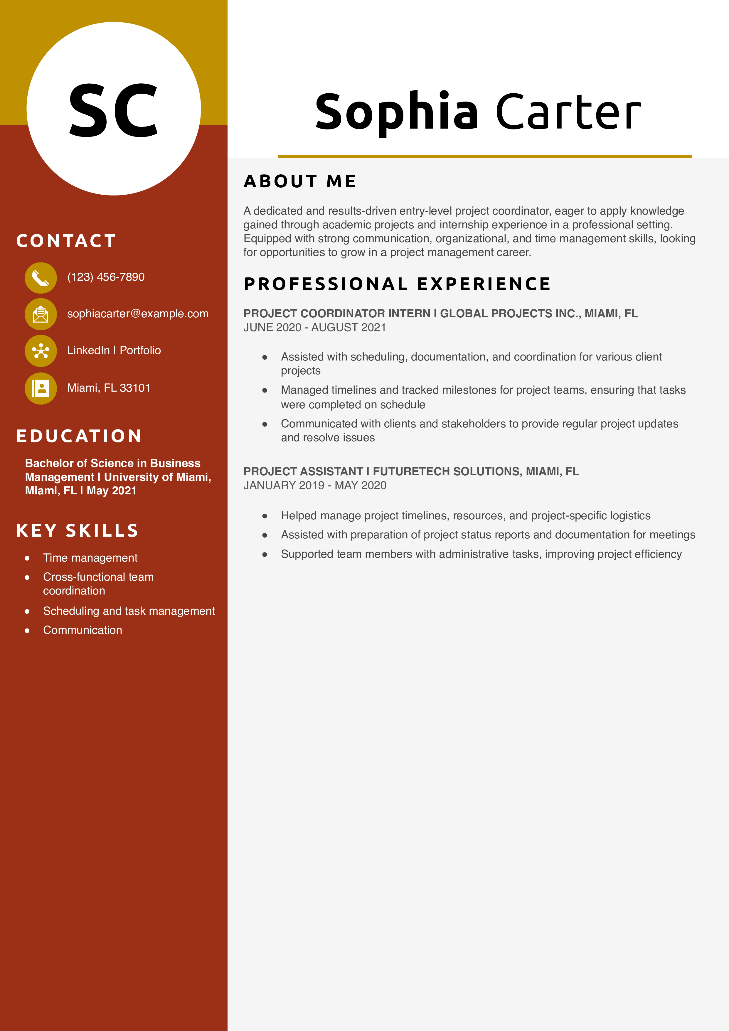 Entry-Level Project Coordinator Resume Example