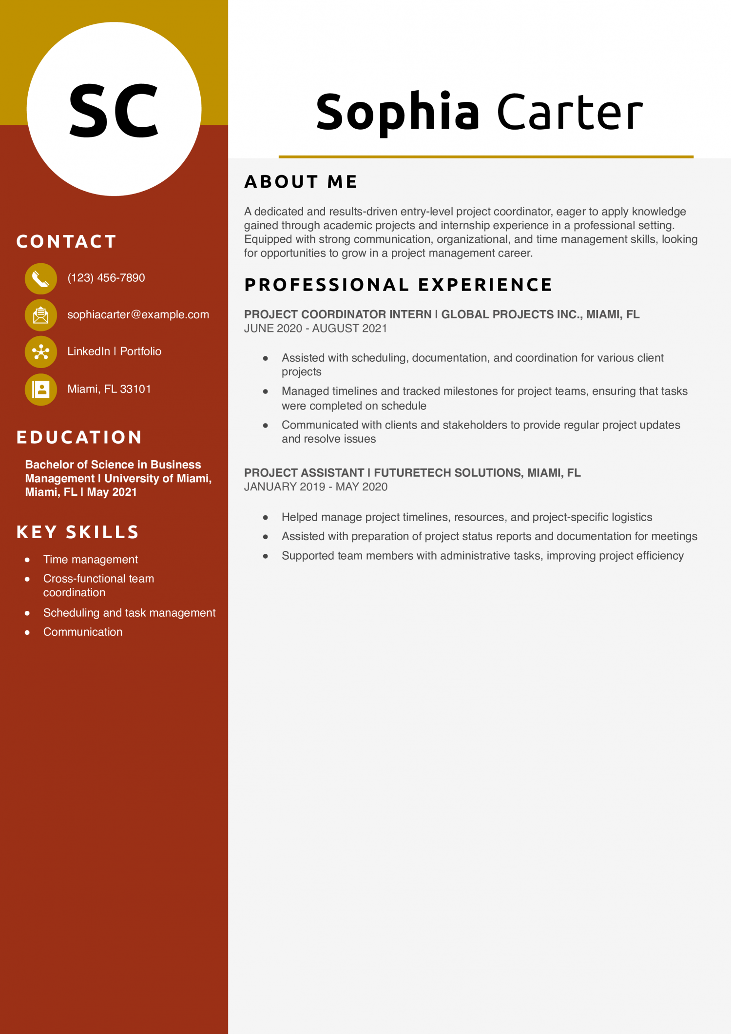 Entry-Level Project Coordinator Resume Example