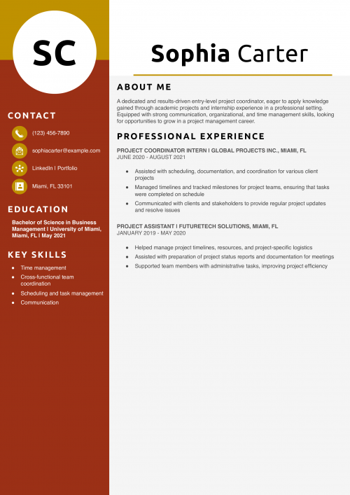 Entry-Level Project Coordinator Resume Example