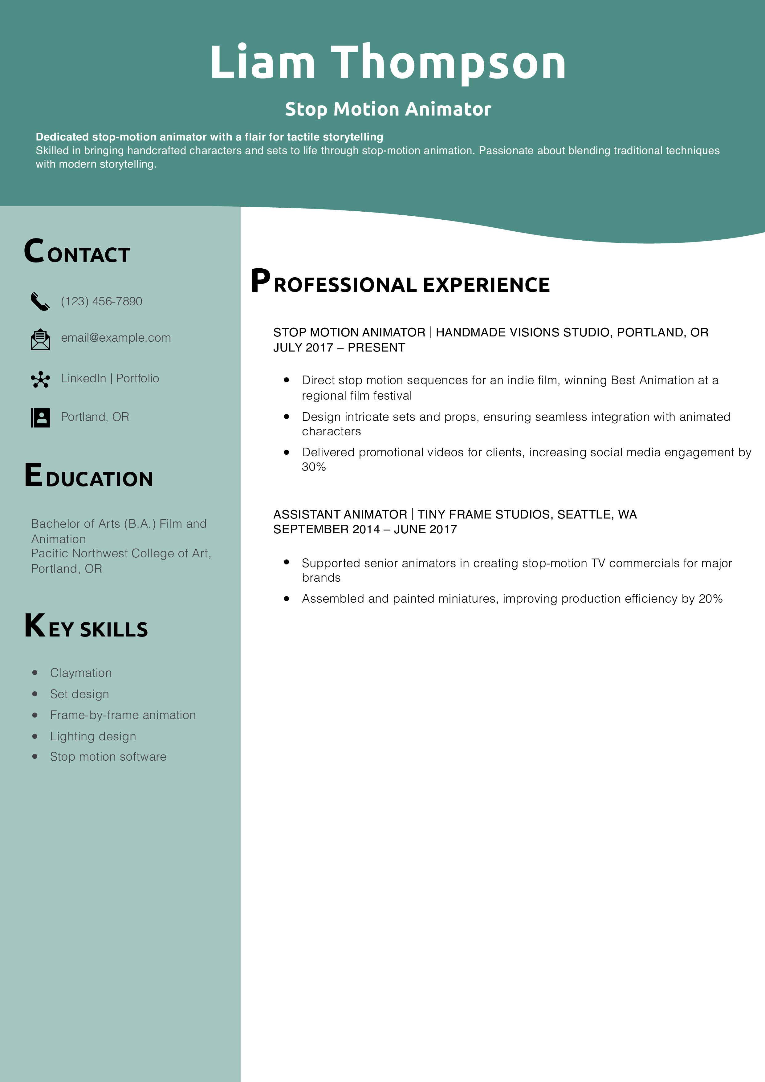 Stop Motion Animator Resume Example