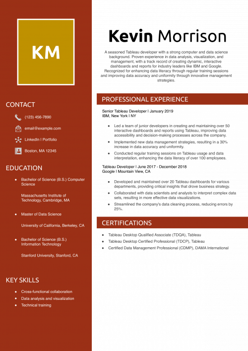 Tableau Developer Resume Example