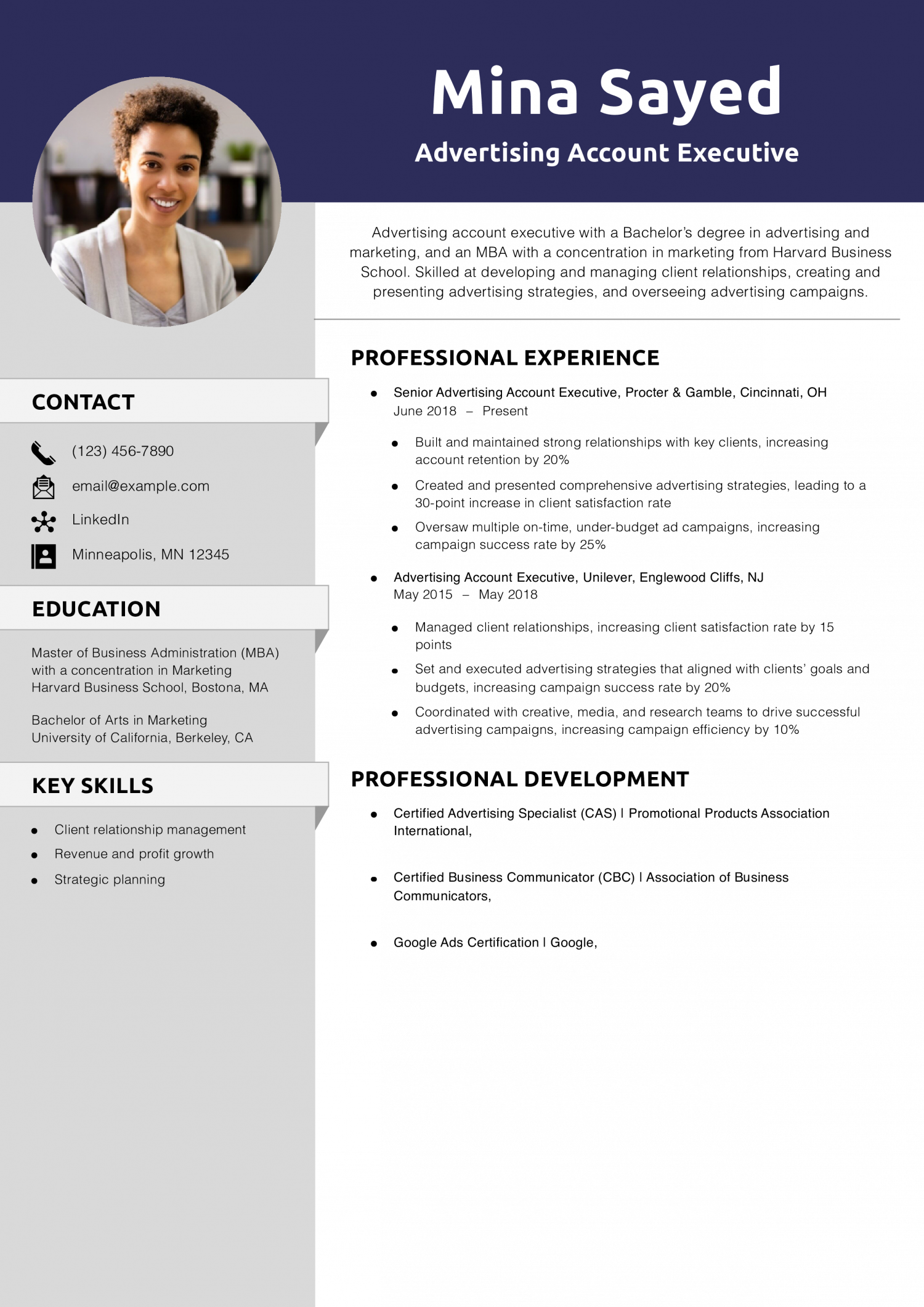 Advertising Account Executive Resume Example