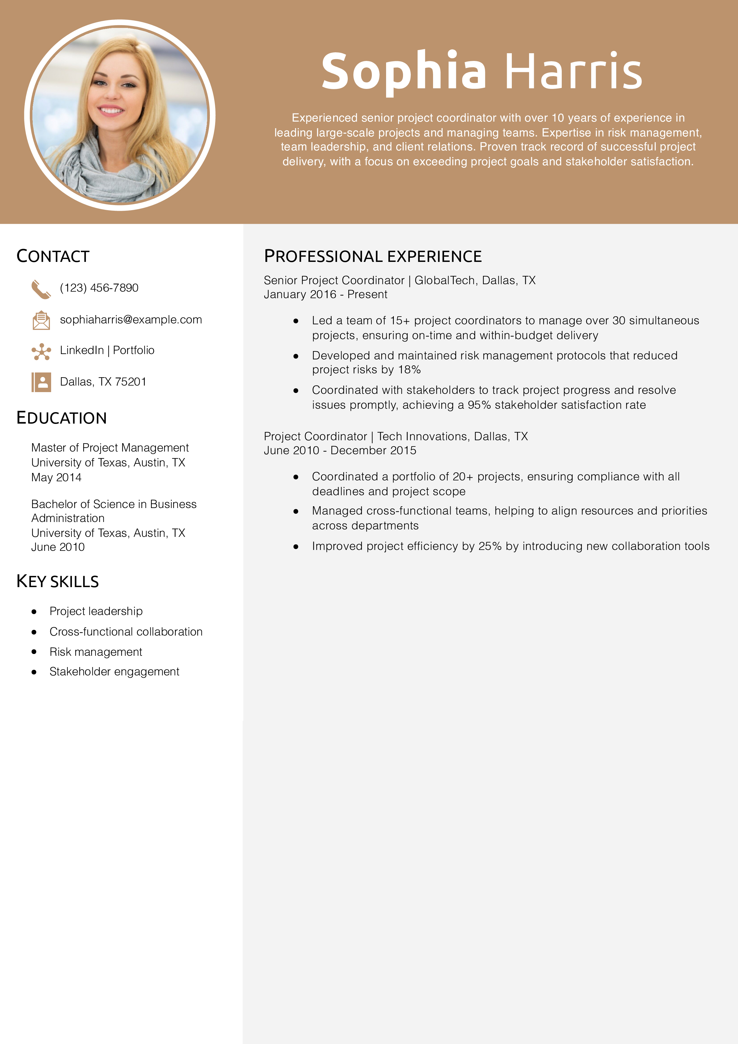 Senior Project Coordinator Resume Example