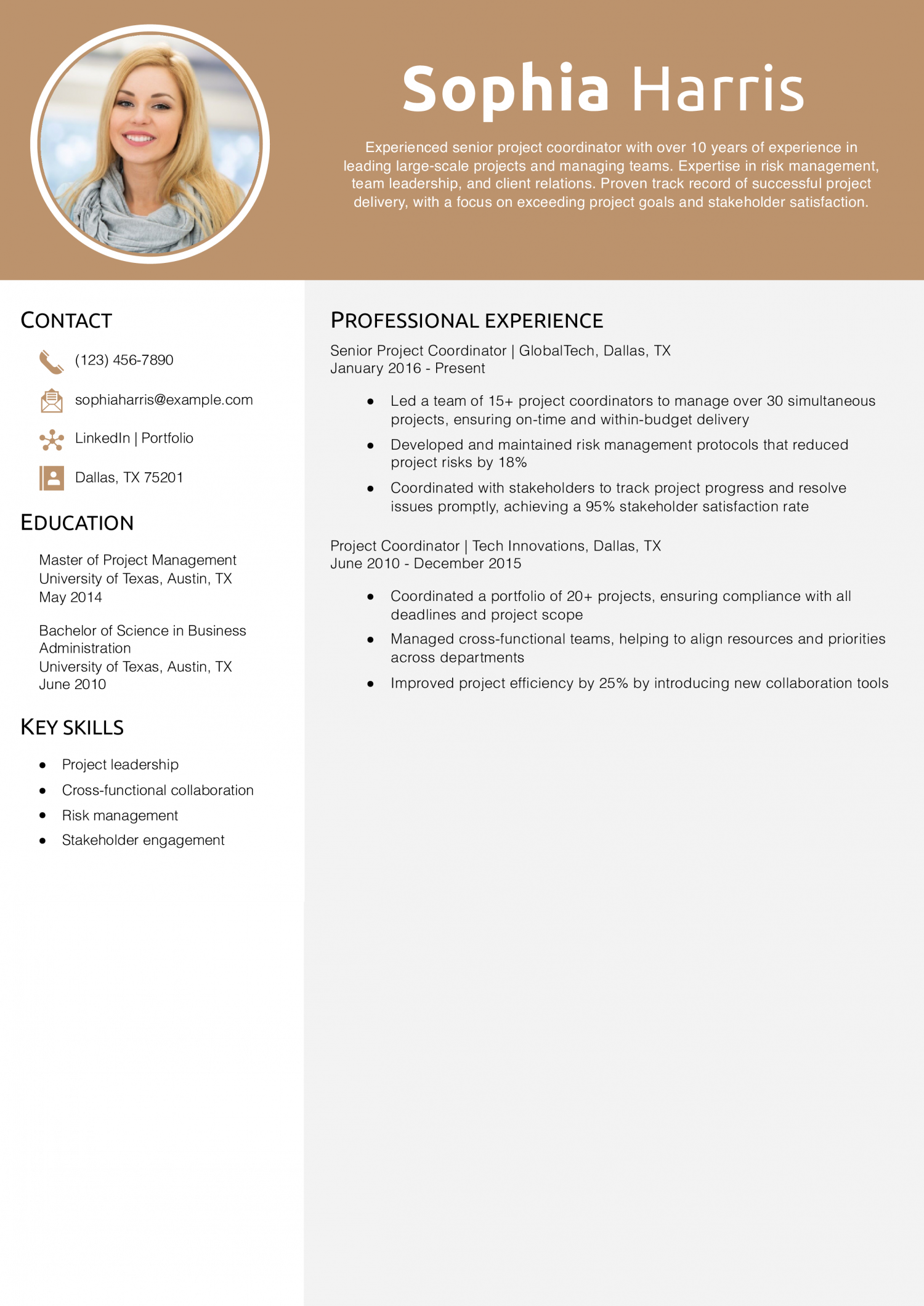 Senior Project Coordinator Resume Example