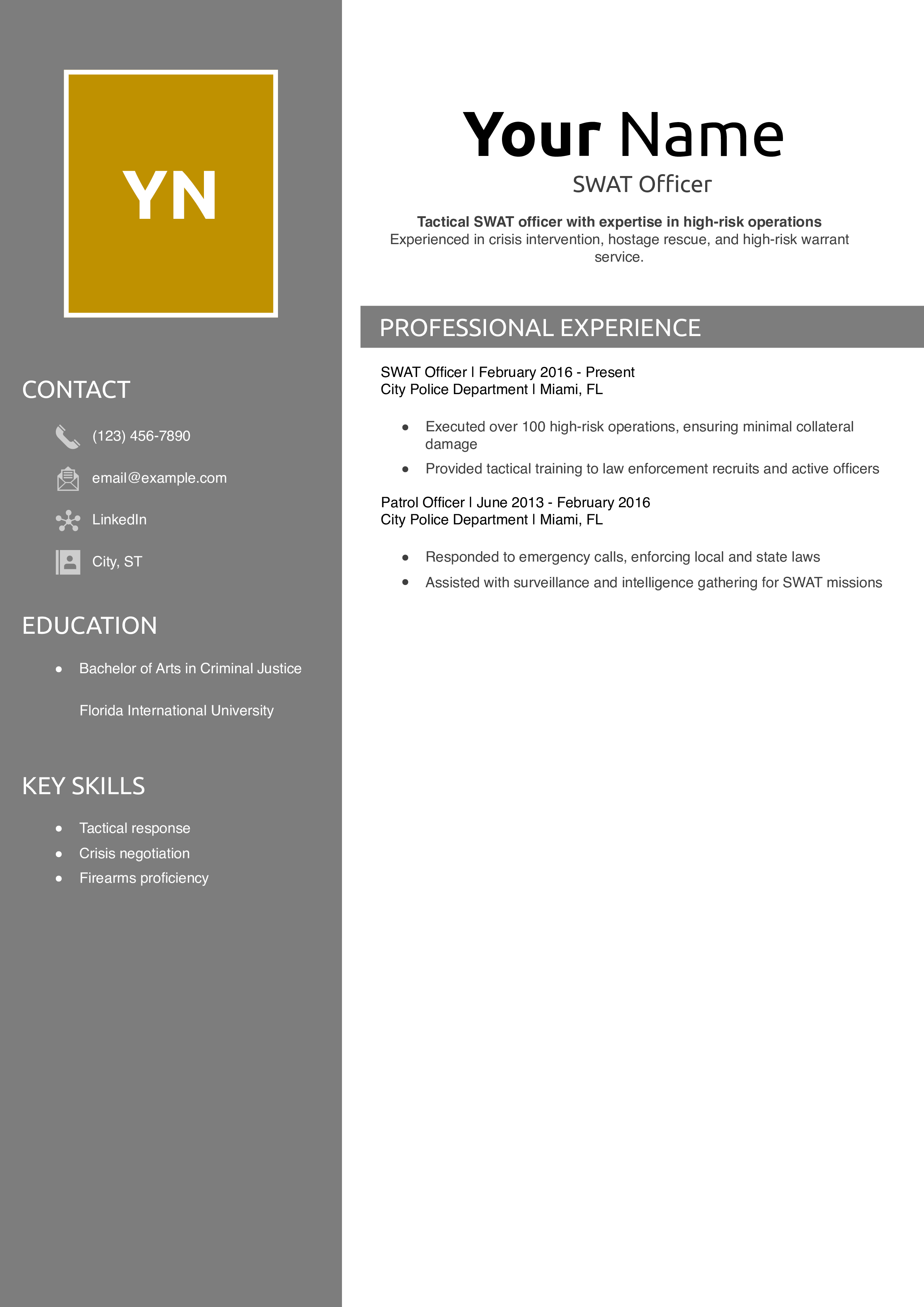 SWAT Officer Resume Example