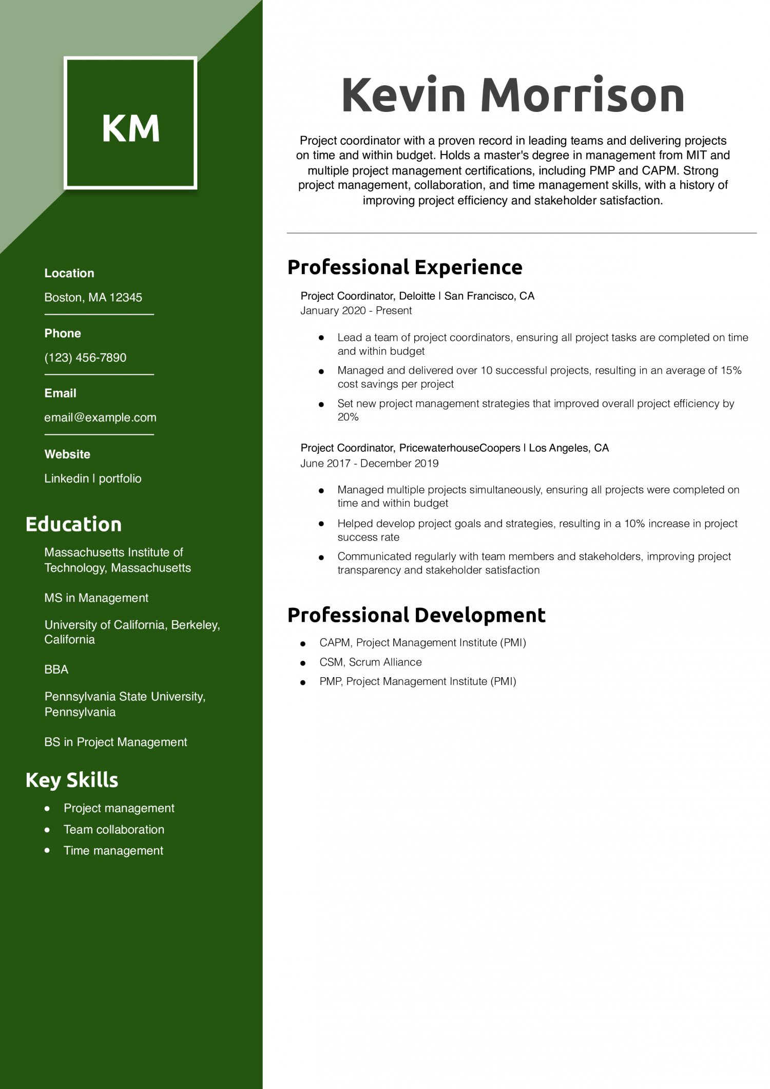 Junior Project Coordinator Resume Example