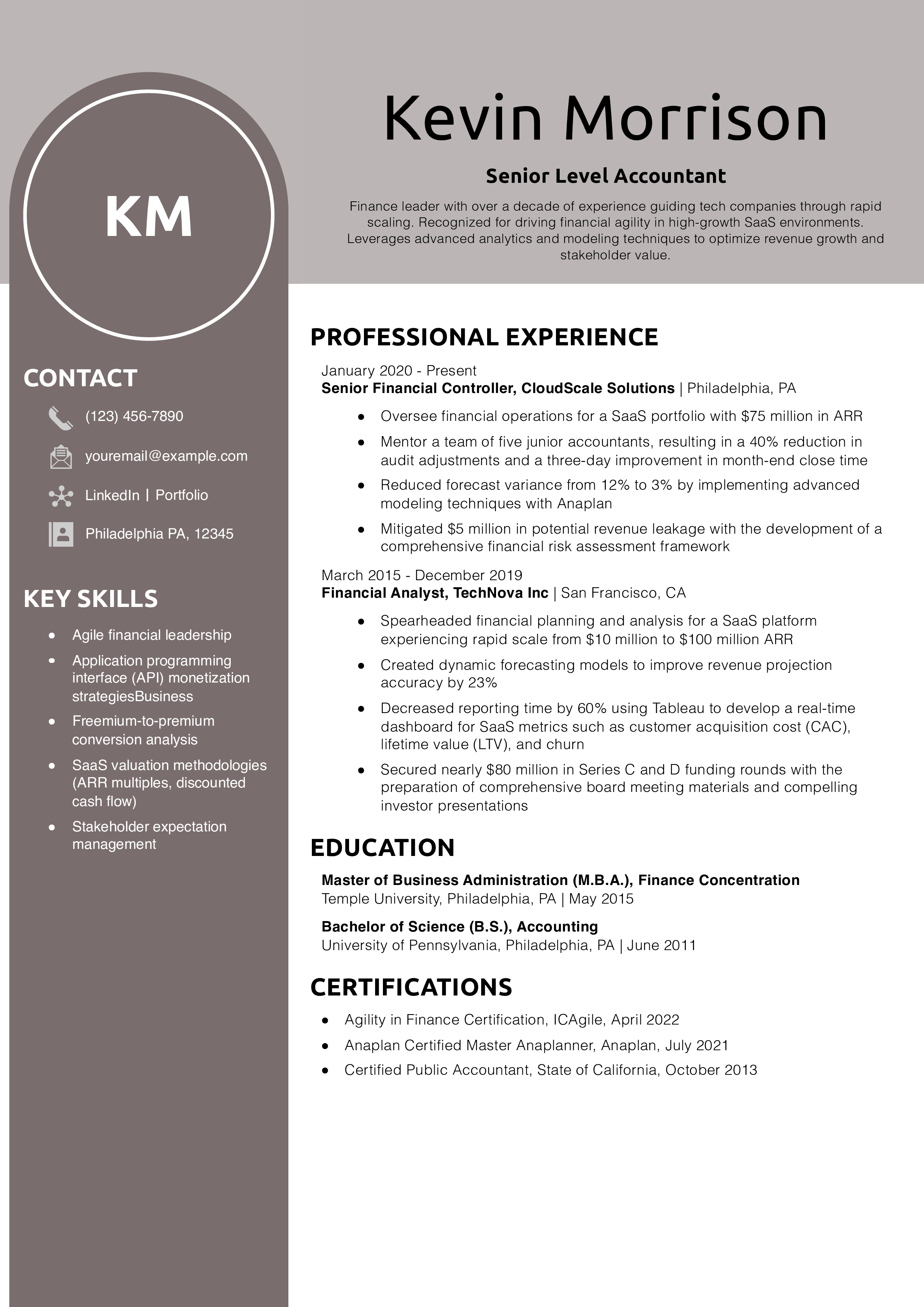Senior Level Accountant Resume Example