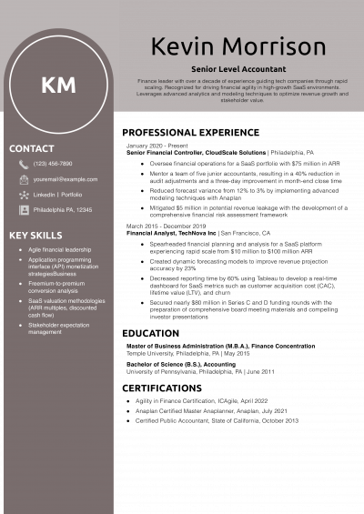 Senior Level Accountant Resume Example