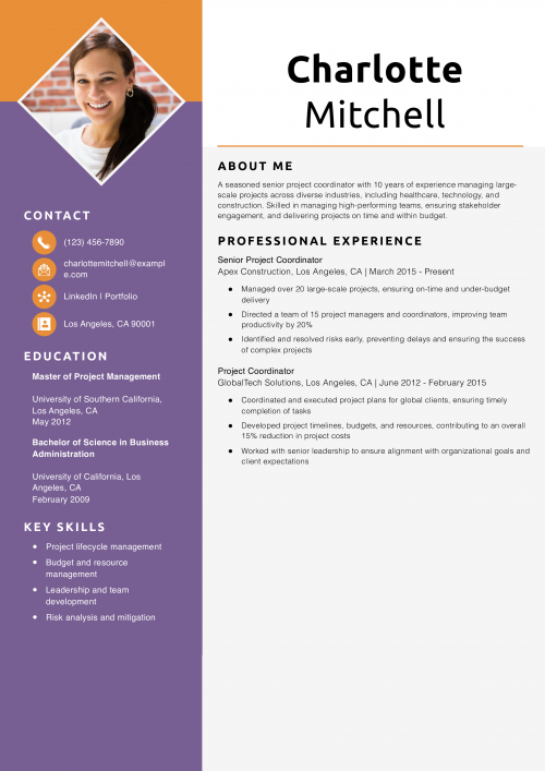 Senior Project Coordinator Resume Example