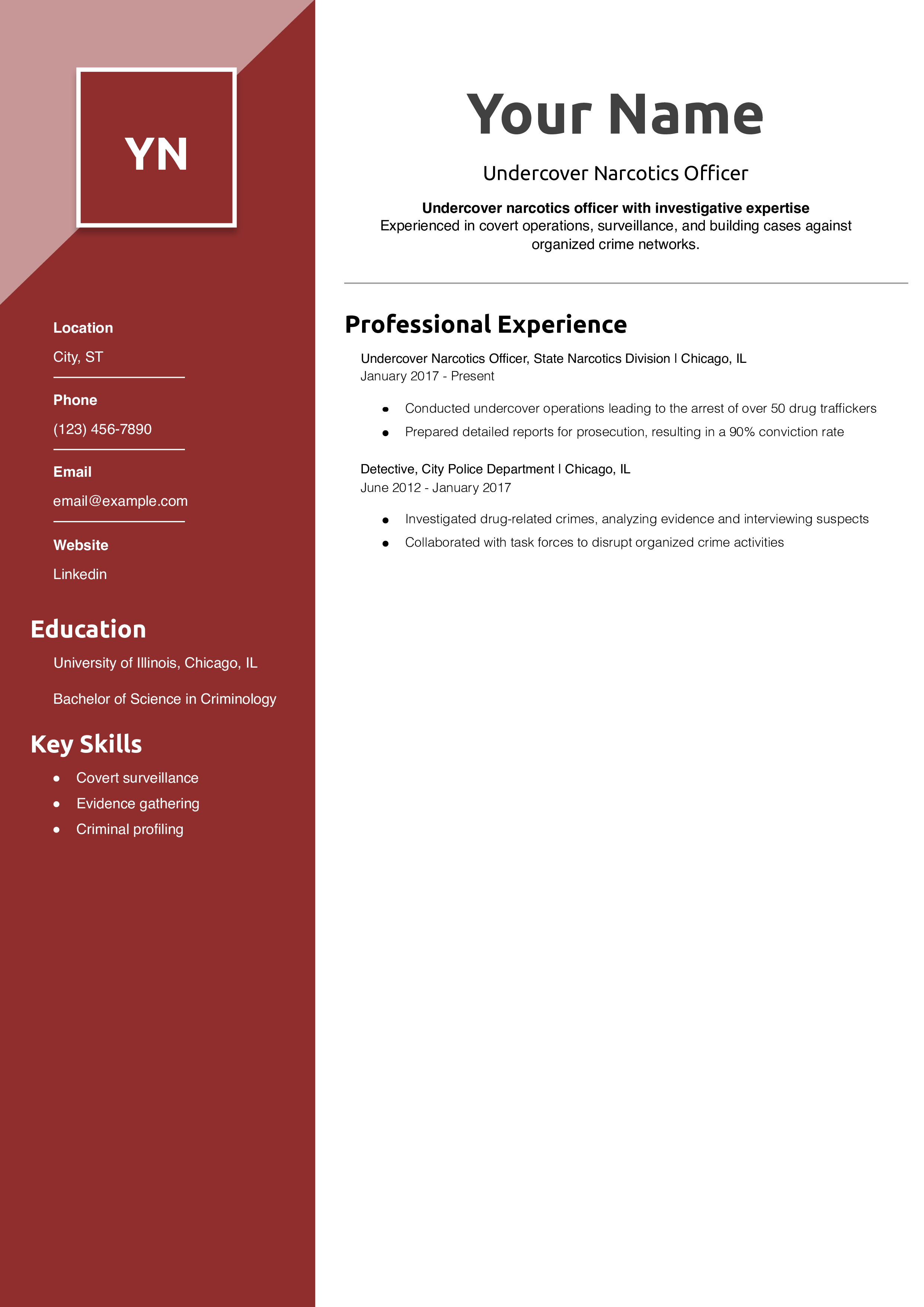 Undercover Narcotics Officer Resume Example