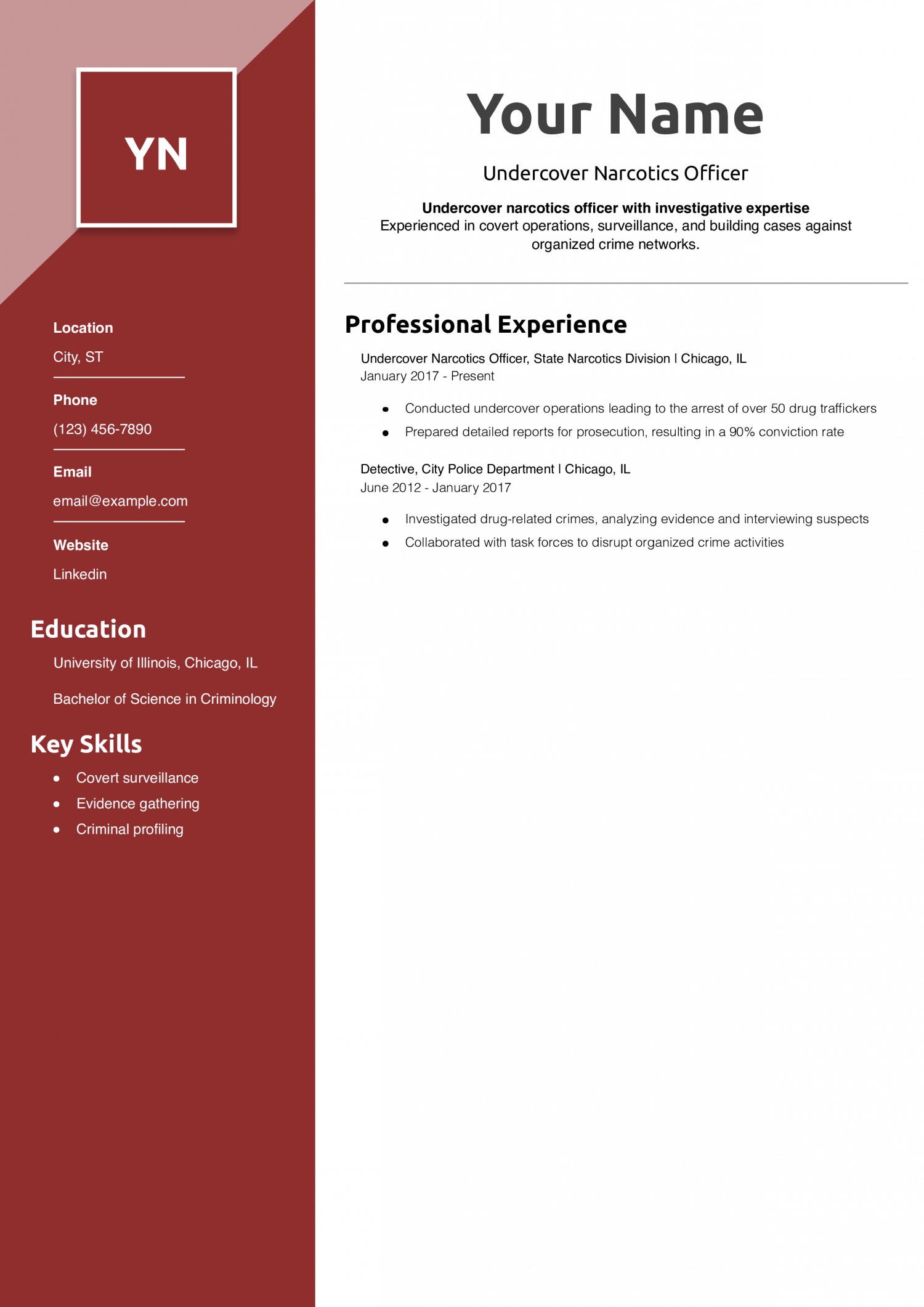 Undercover Narcotics Officer Resume Example
