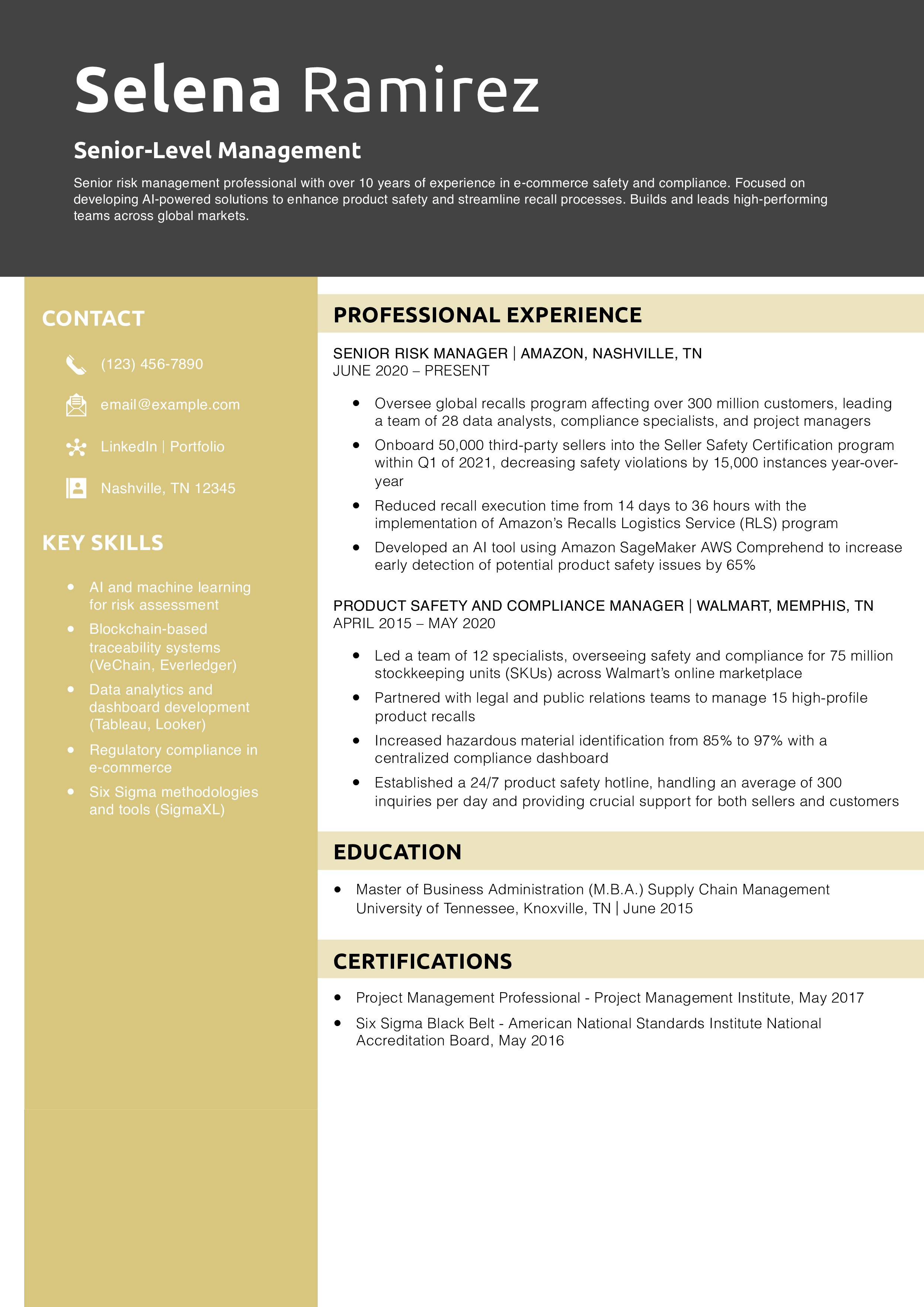Senior-Level Management Resume Example
