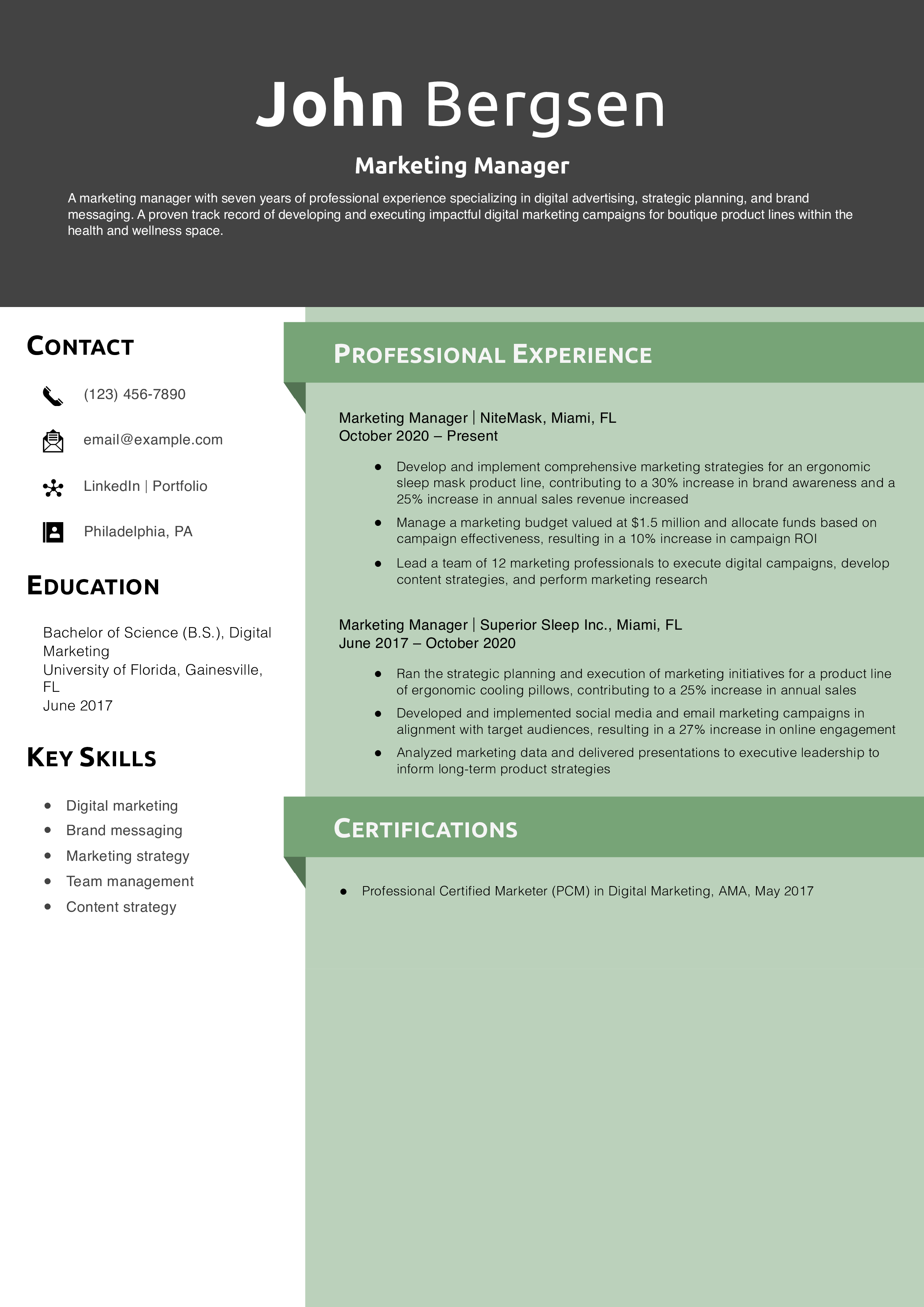 Marketing Manager Resume Example