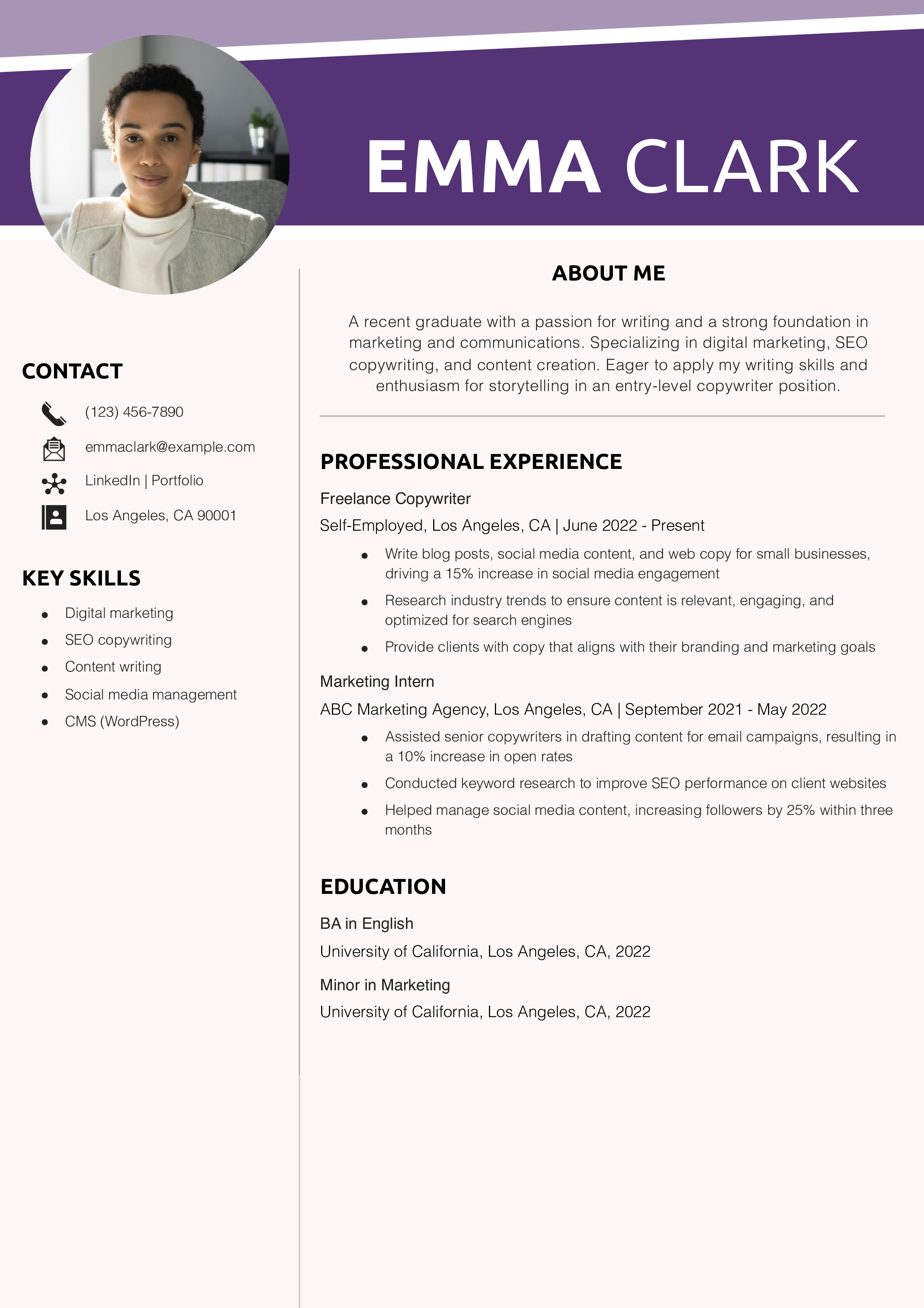 Entry Level Copywriter Resume Example