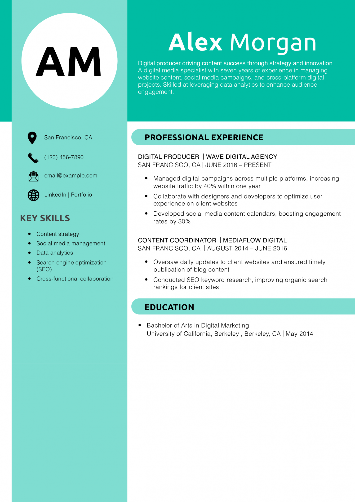 Digital producer resume