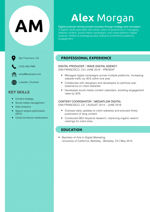 Digital producer resume