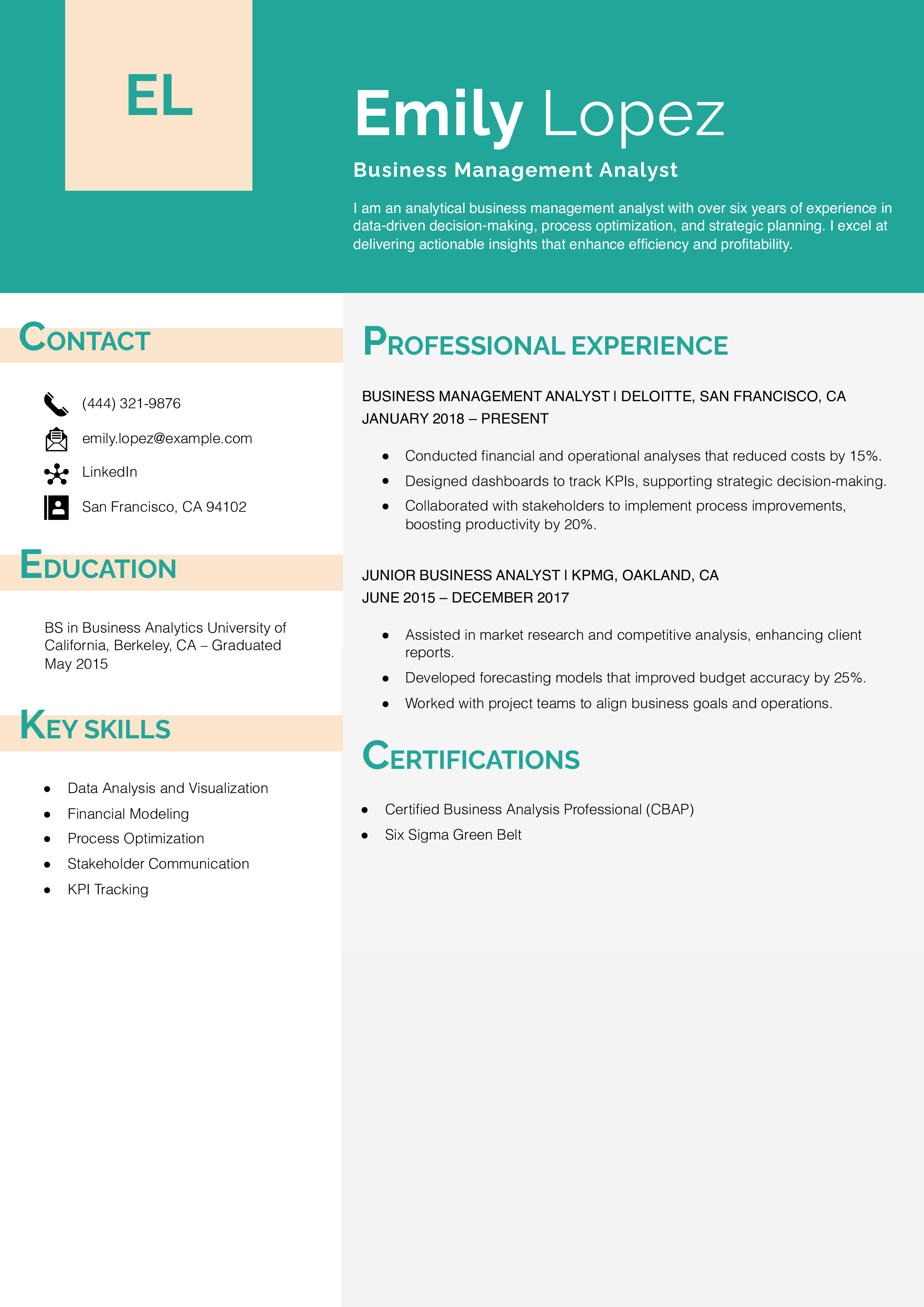 Business Management Analyst Resume Example