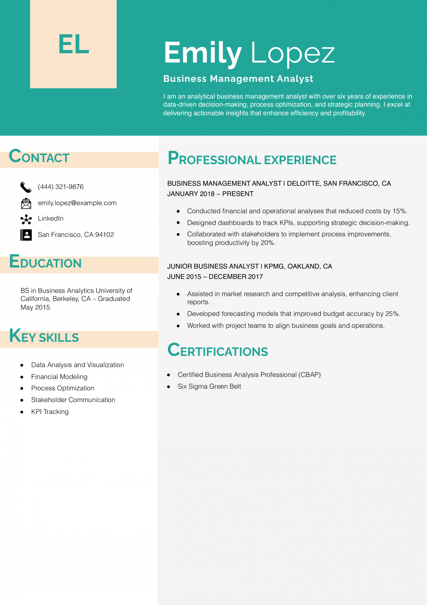 Business Management Analyst Resume Example