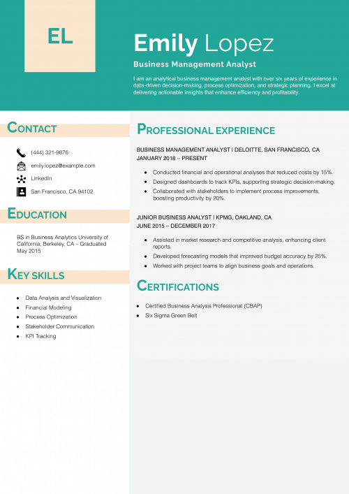 Business Management Analyst Resume Example