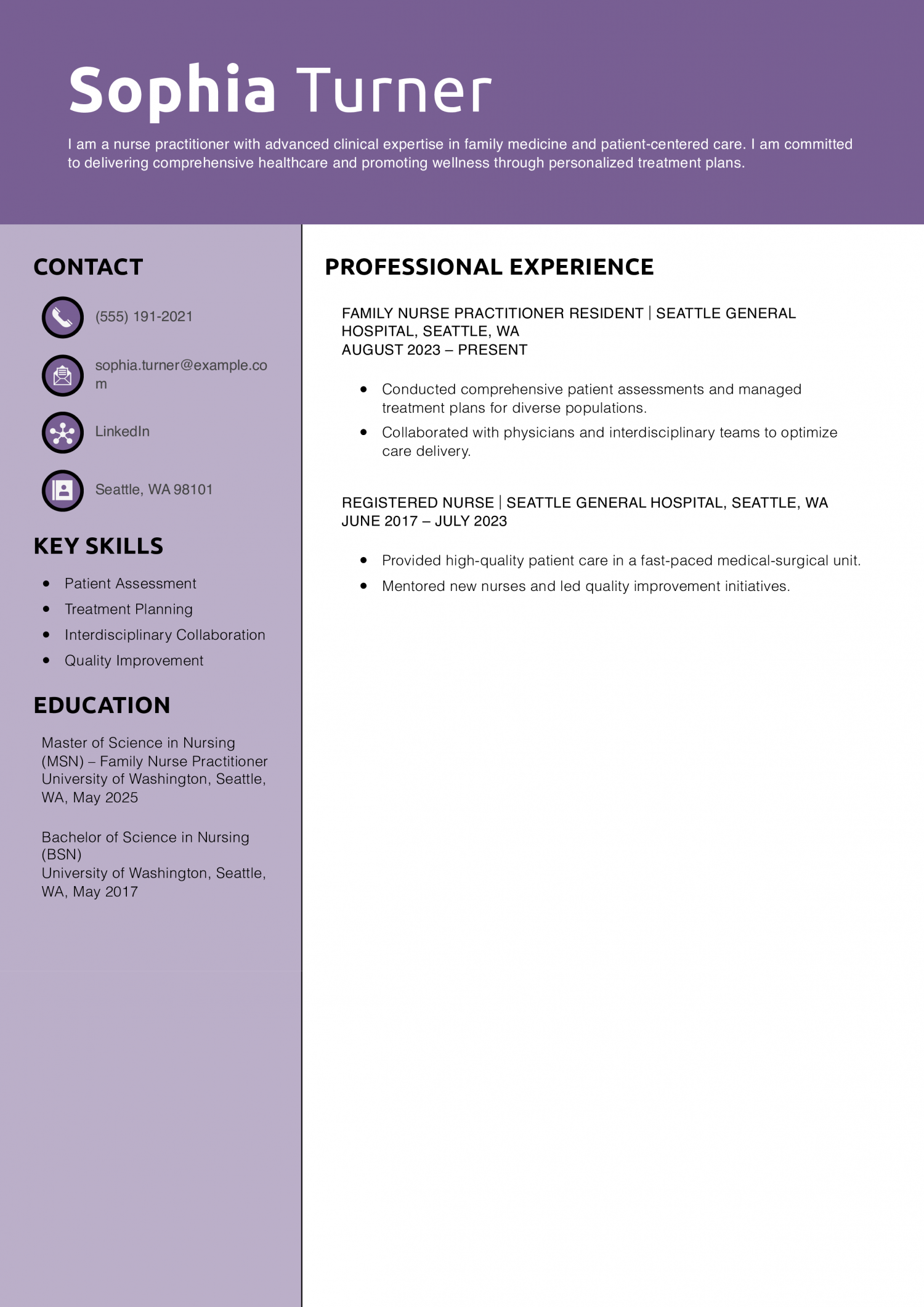Nurse Practitioner Resume Example