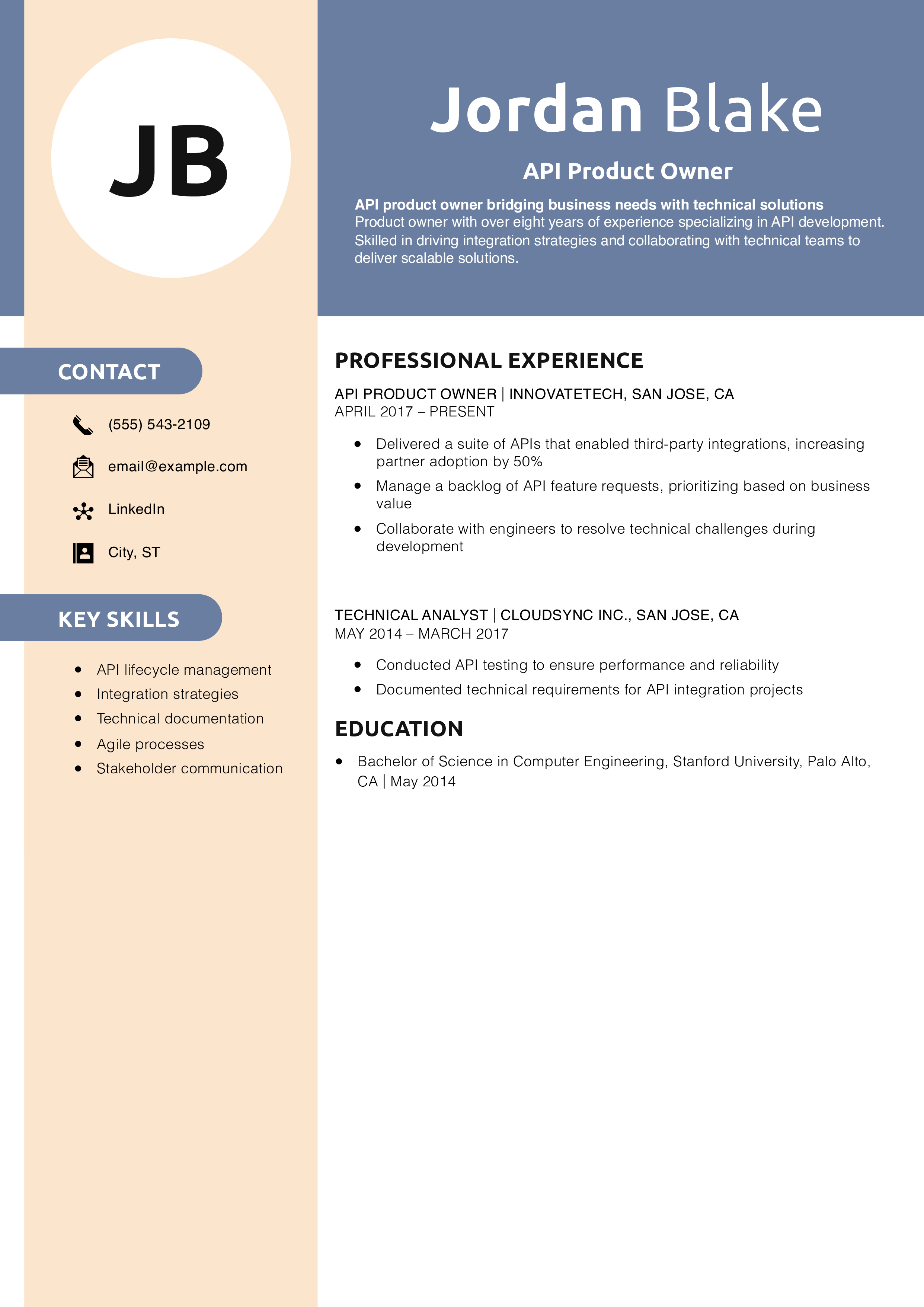 API Product Owner Resume