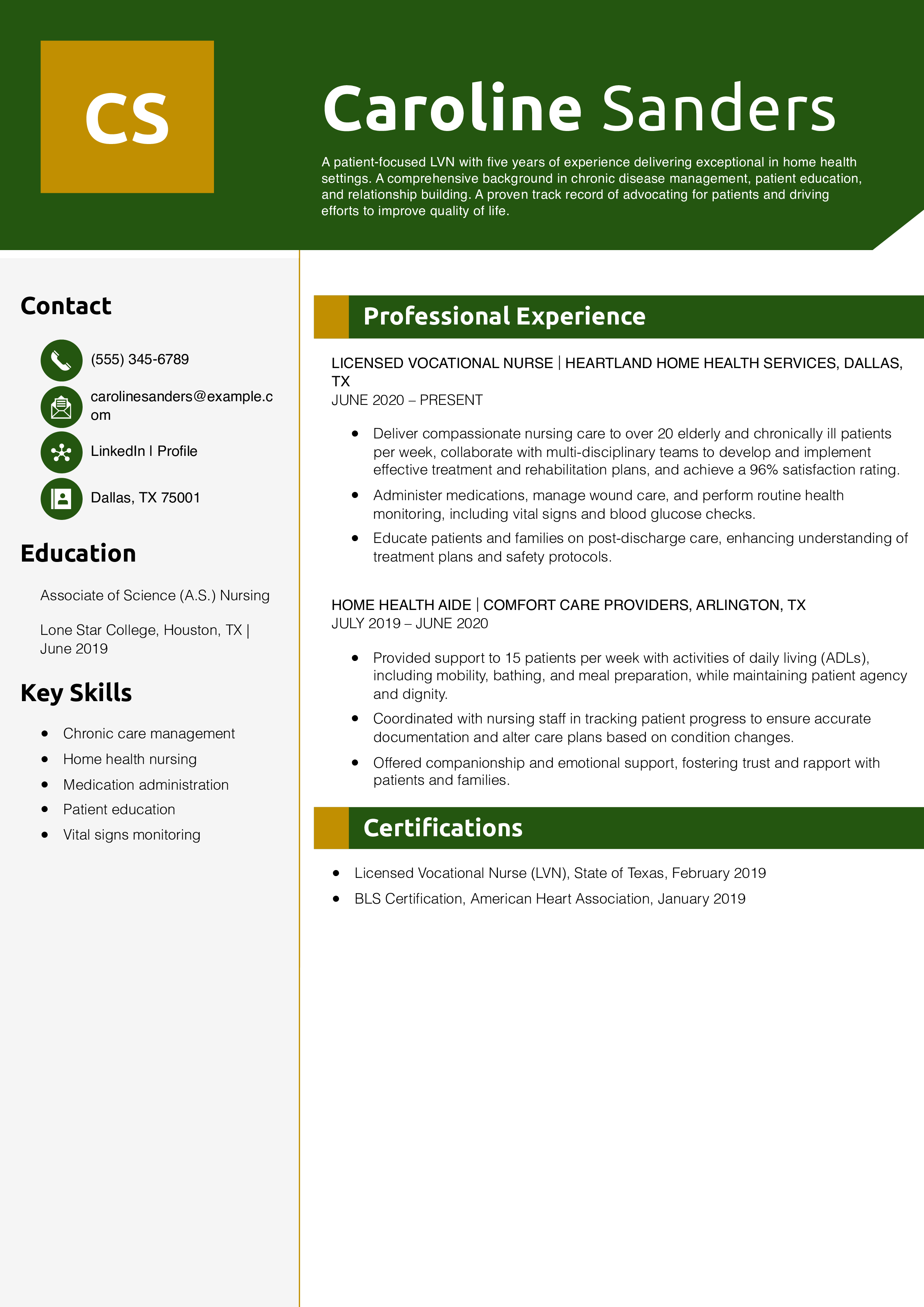 LVN Resume Example