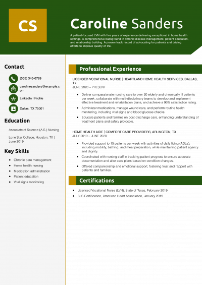 LVN Resume Example