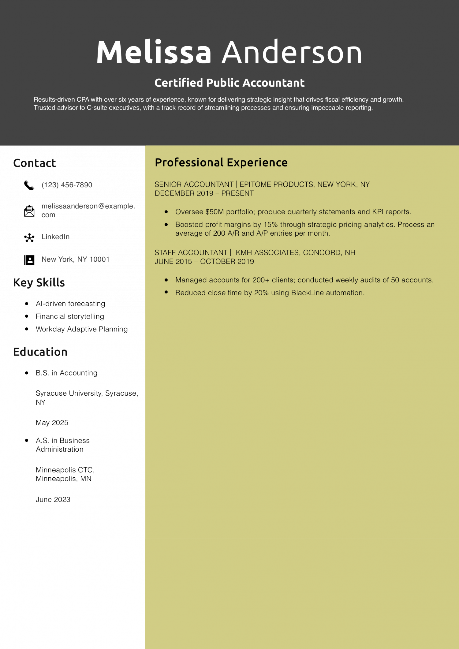 Certified Public Accountant Resume Example