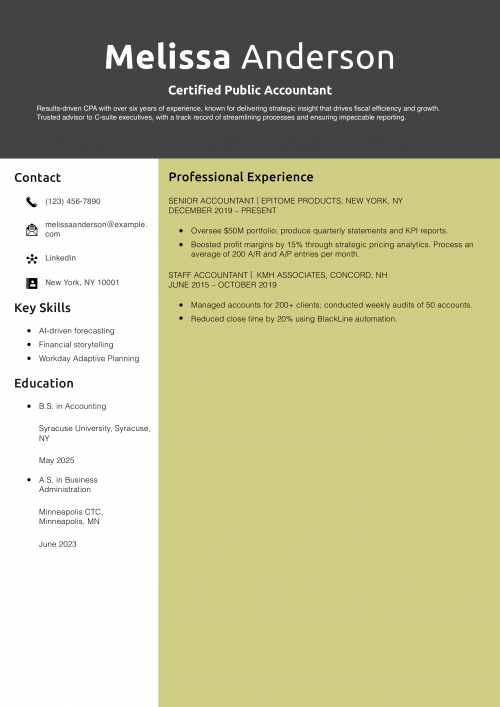 Certified Public Accountant Resume Example