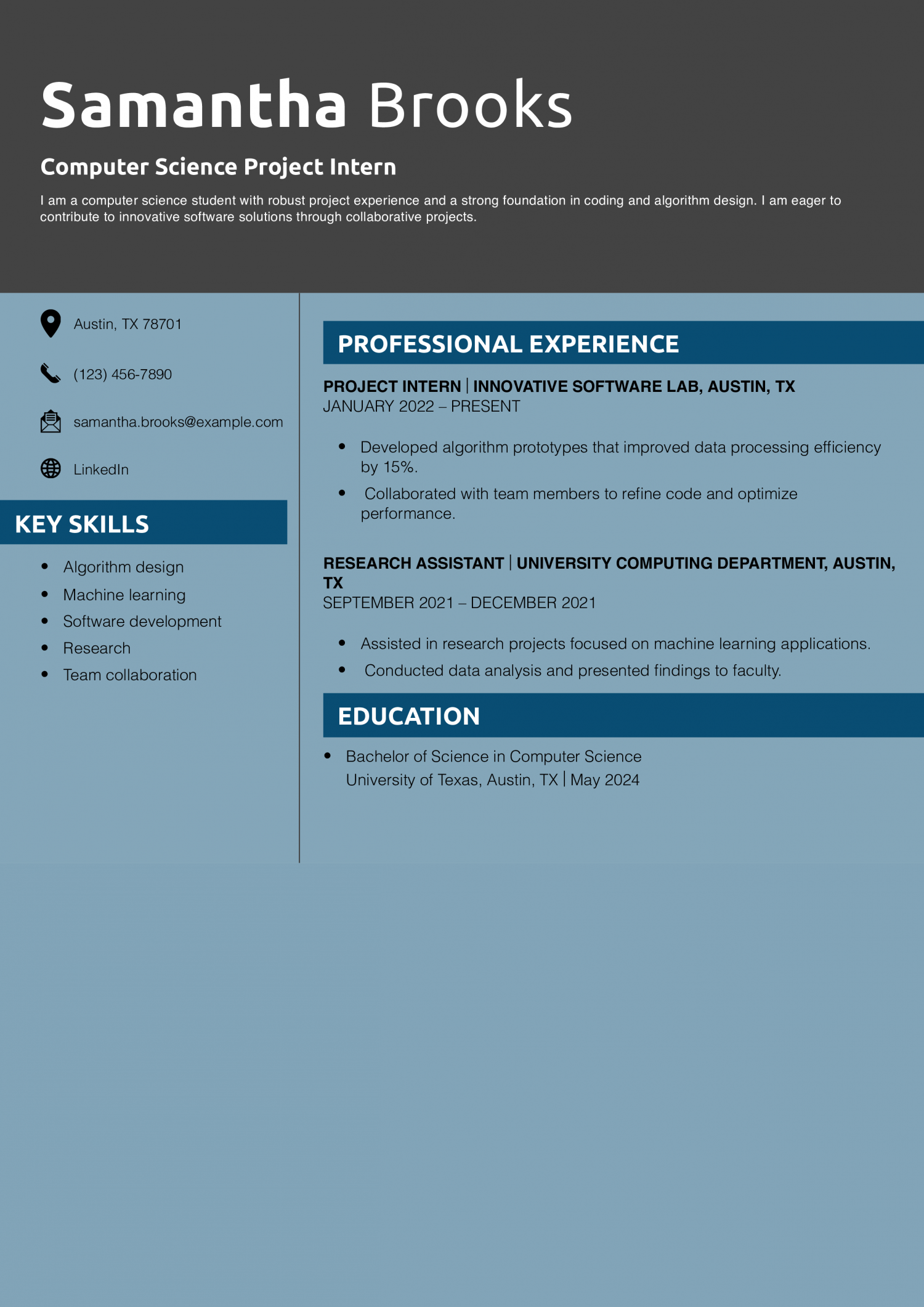 Computer Science Project Intern Resume Example