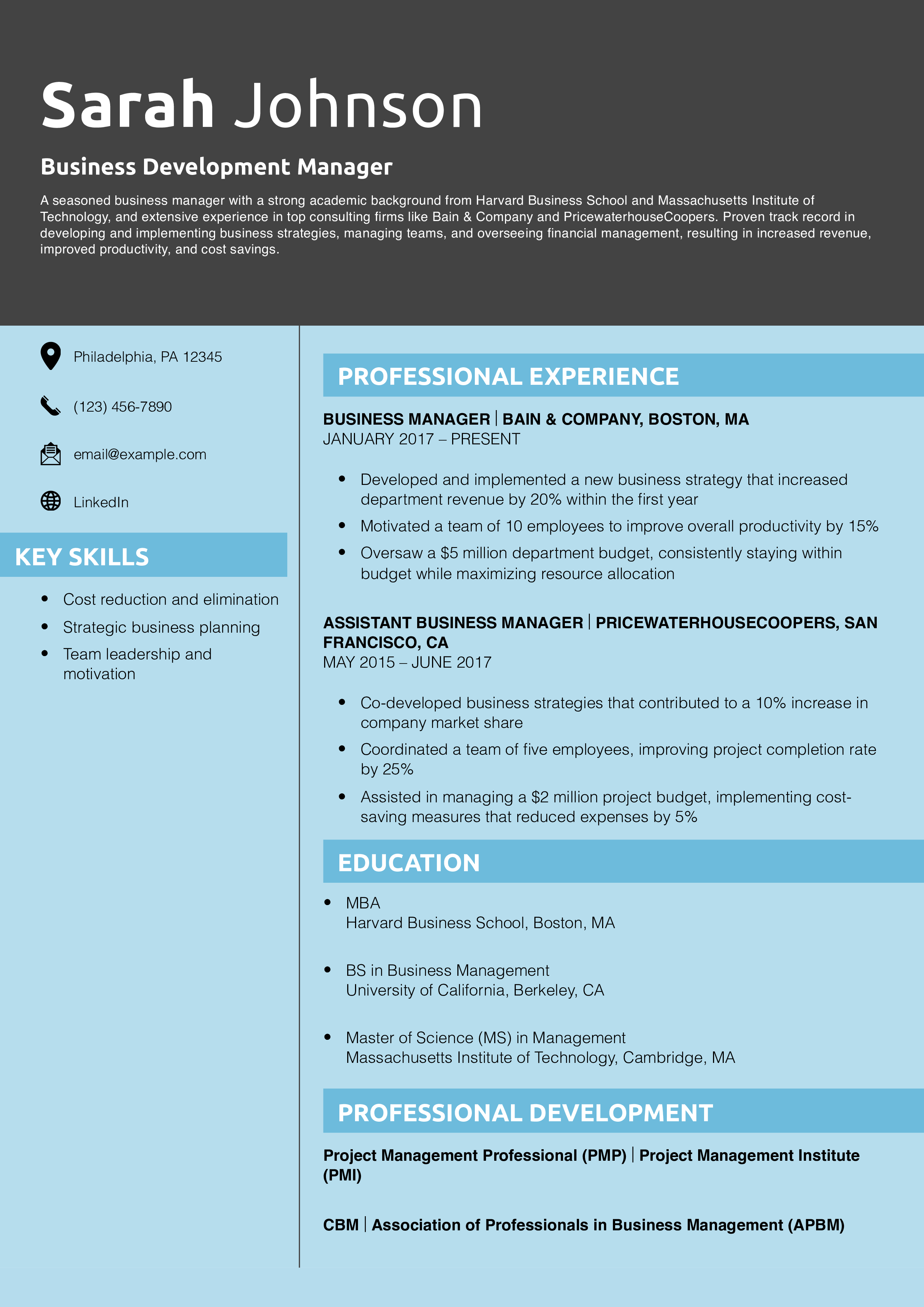 Business Development Manager Resume Example