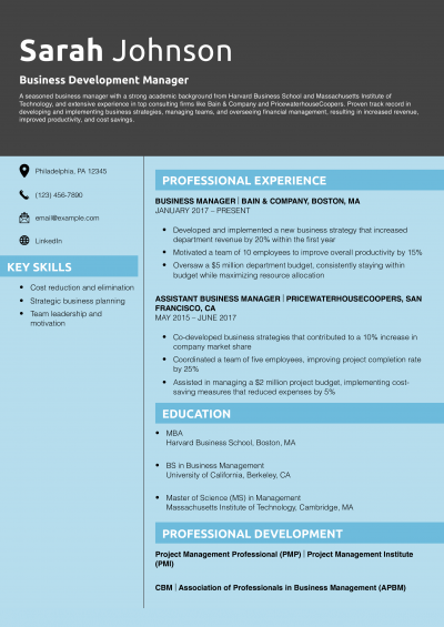 Business Development Manager Resume Example