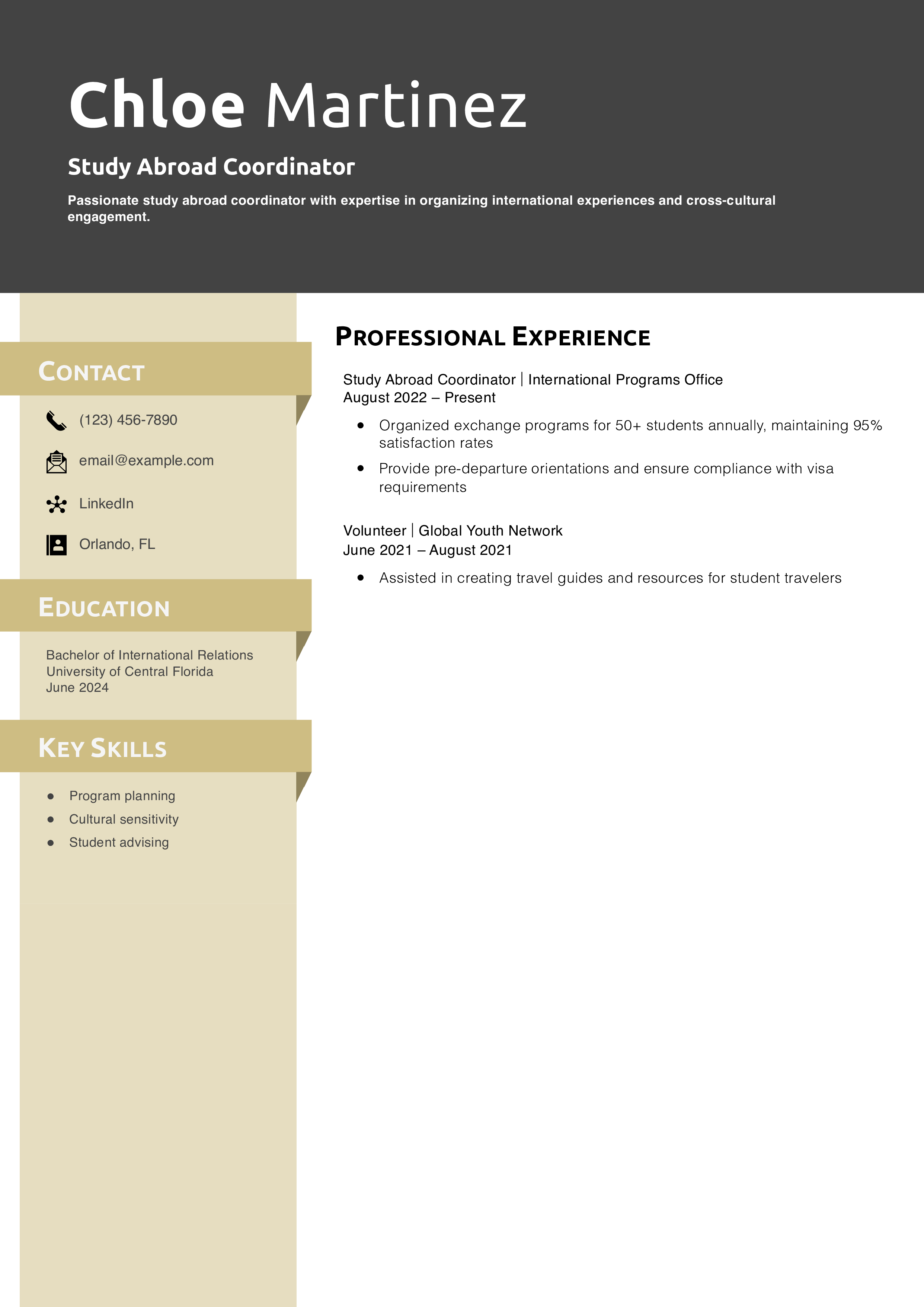 Study Abroad Coordinator Resume Example
