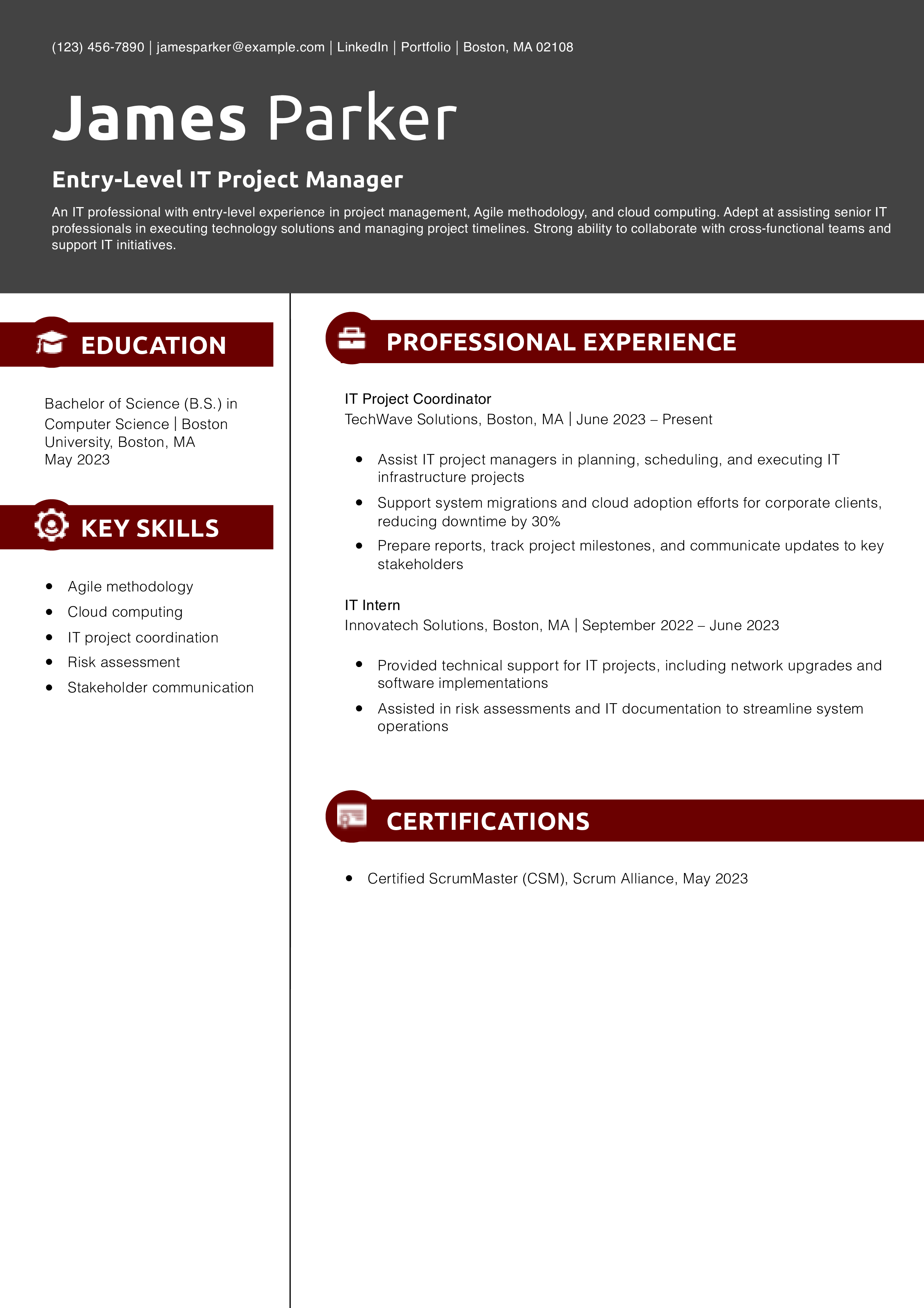 Entry-Level IT Project Manager Resume Example