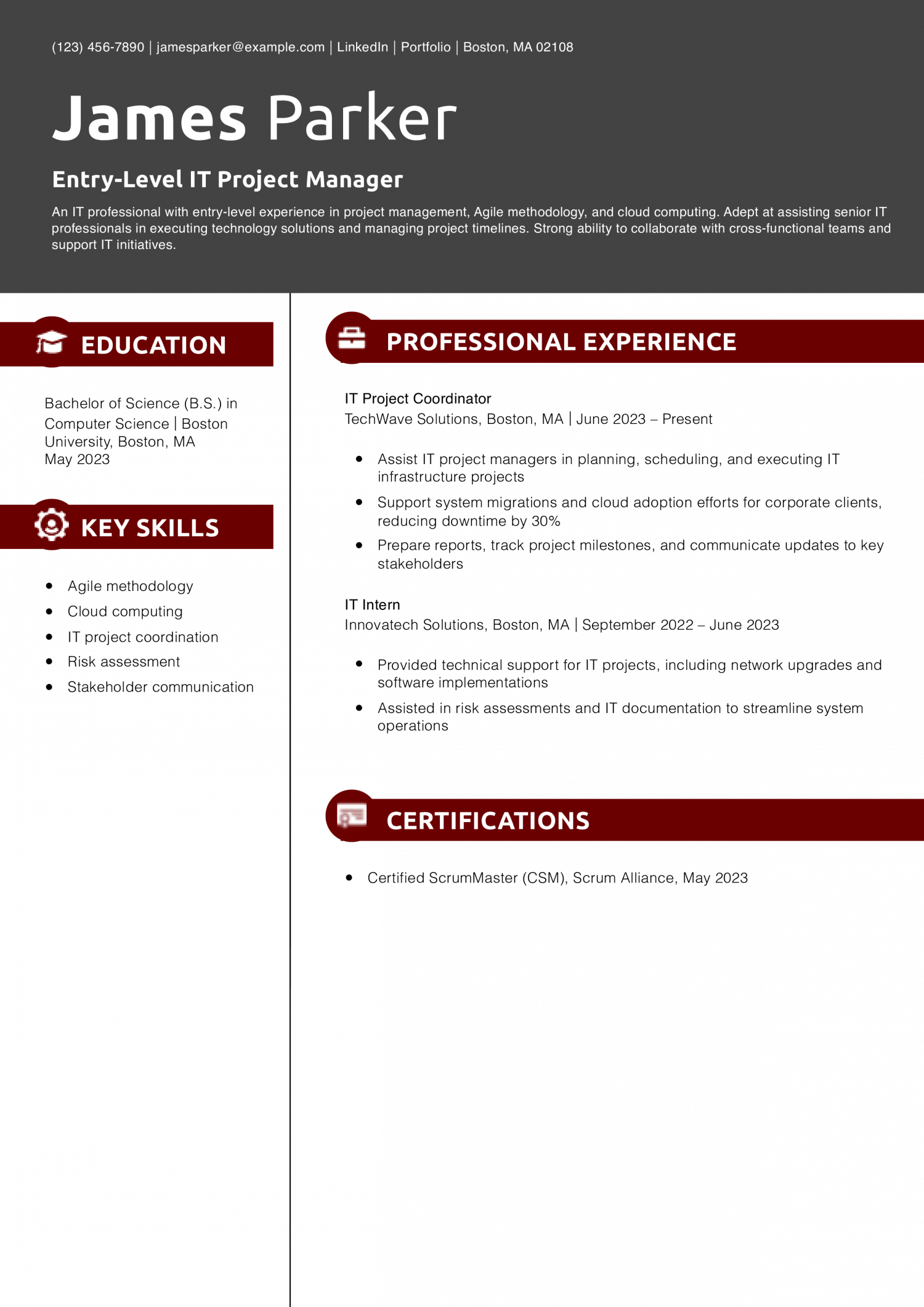Entry-Level IT Project Manager Resume Example