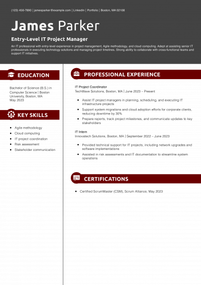 Entry-Level IT Project Manager Resume Example