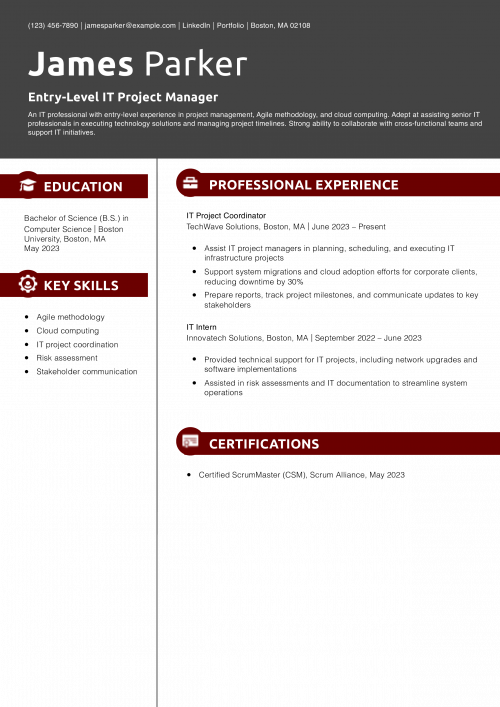 Entry-Level IT Project Manager Resume Example