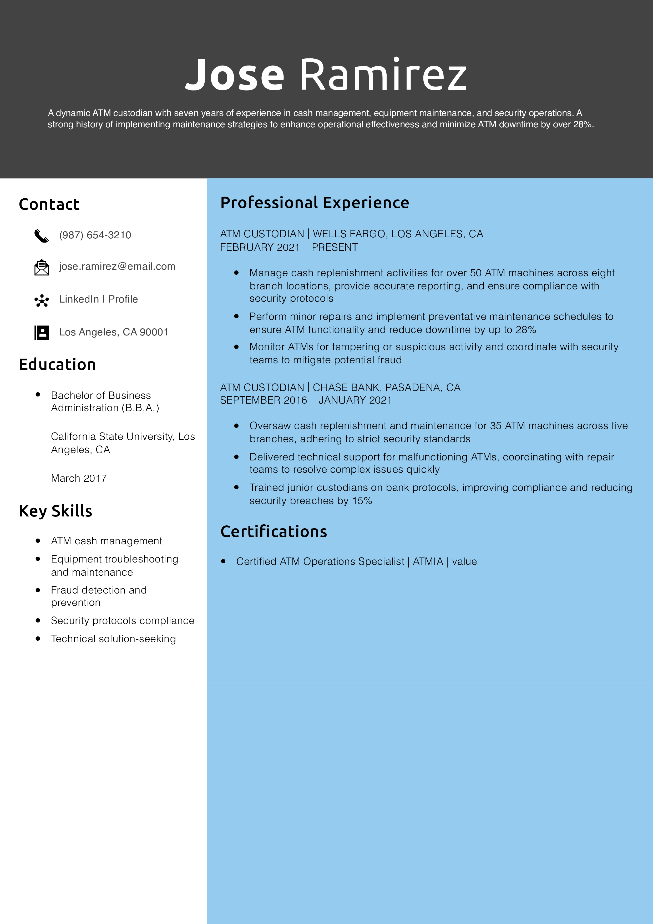 ATM Custodian Resume Example