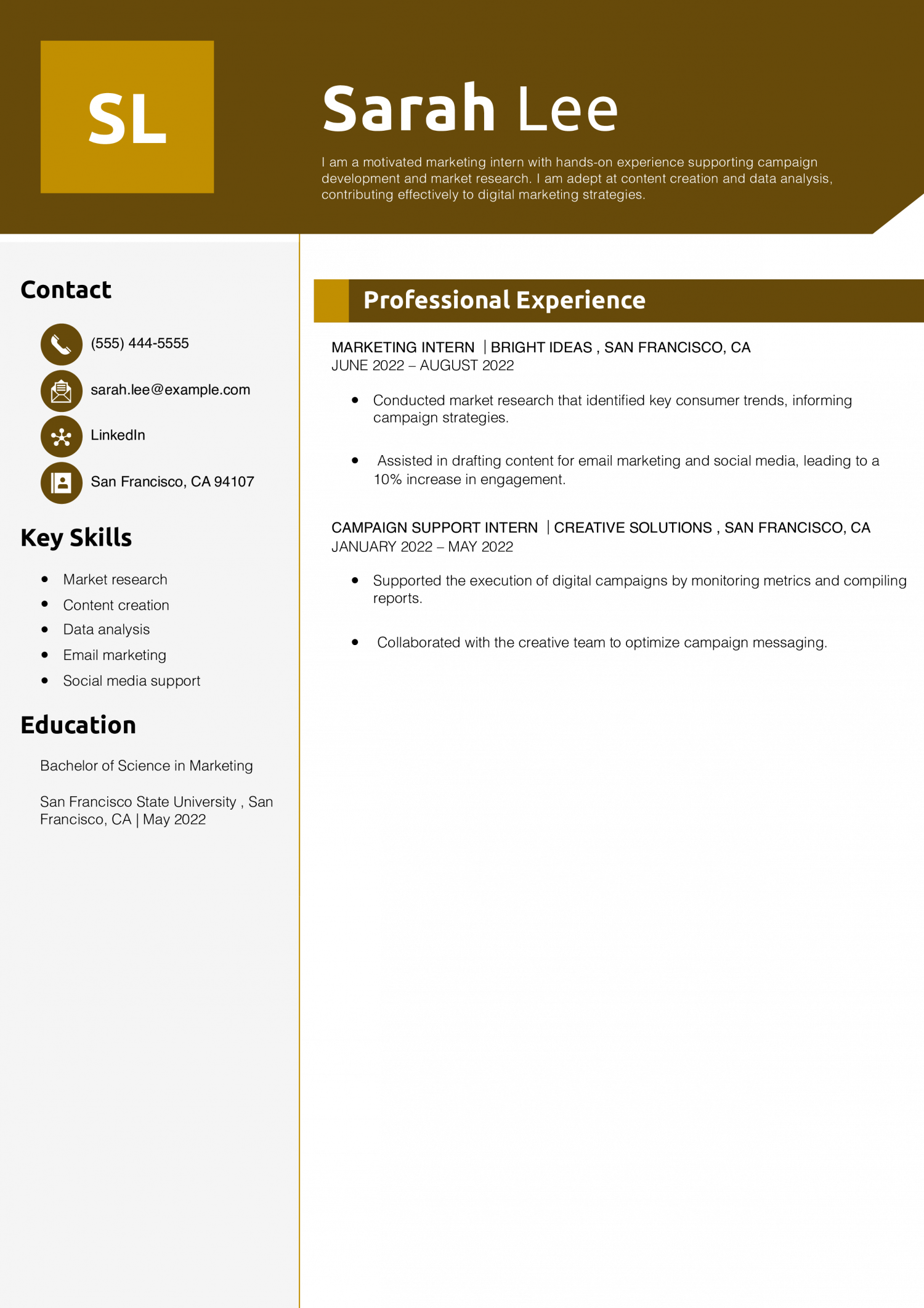 Marketing Intern Resume Example