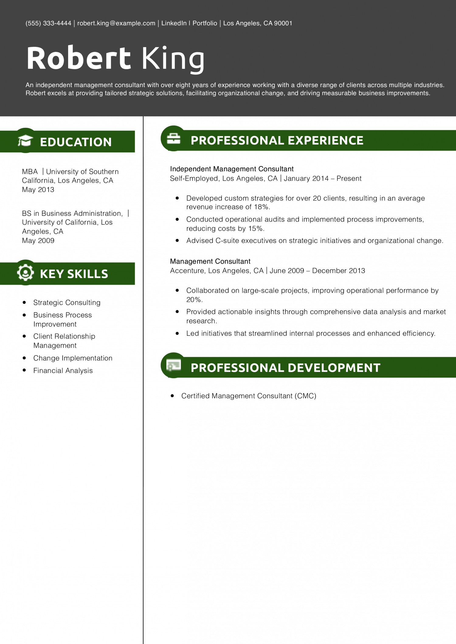 Independent Management Consultant Resume Example