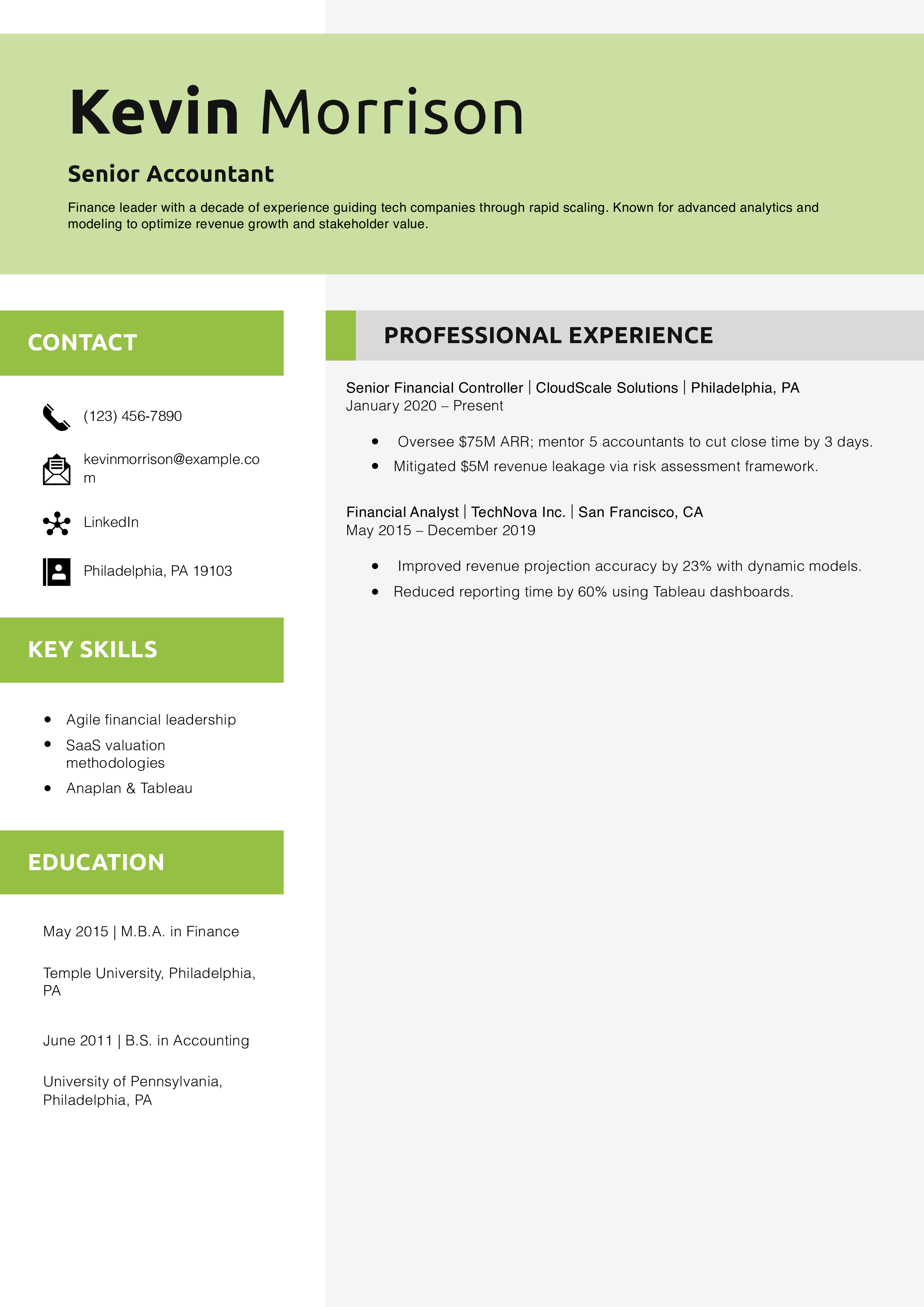 Senior Accountant Resume Example