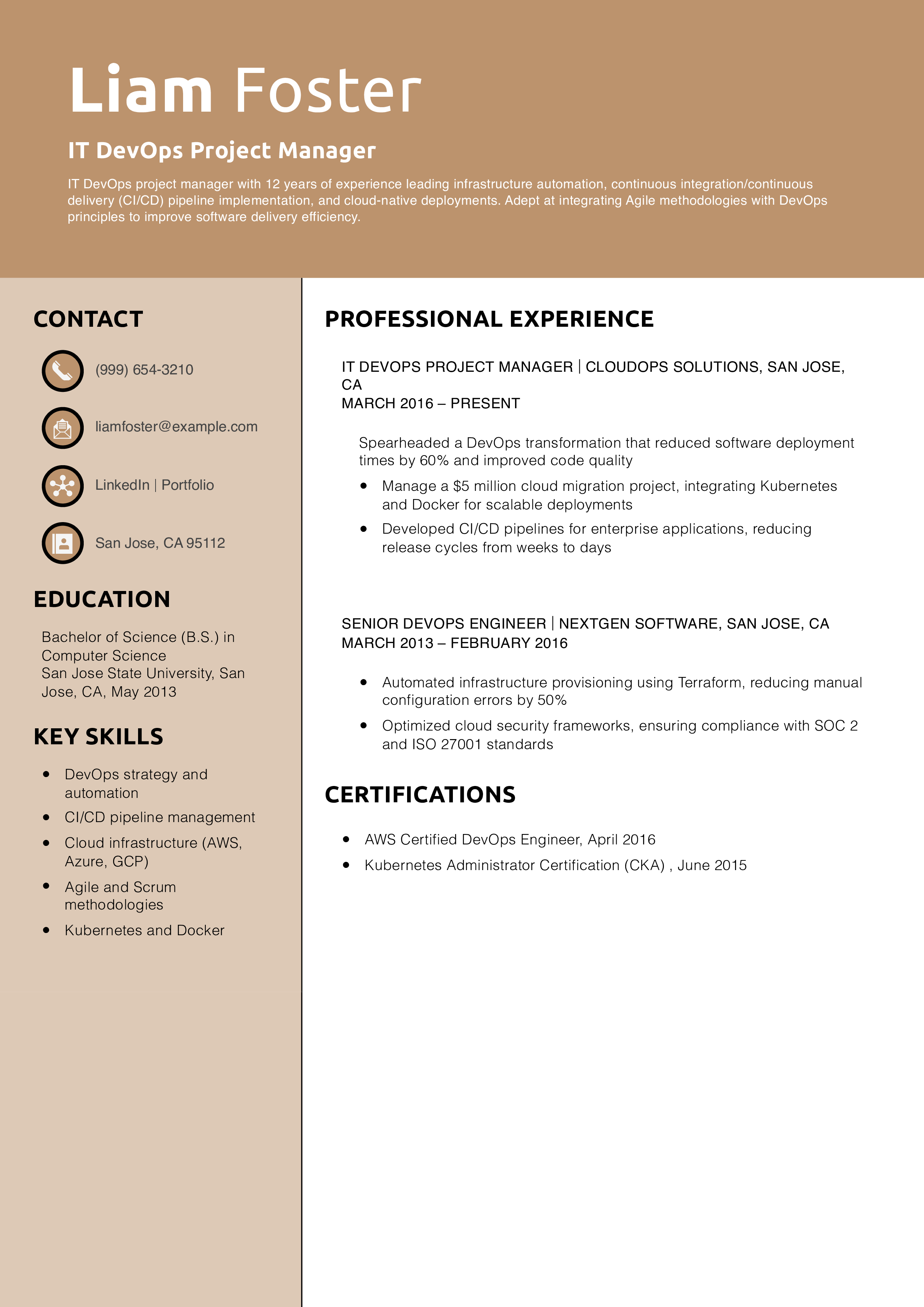 IT DevOps Project Manager Resume Example
