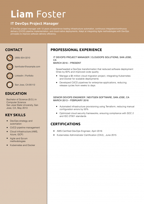 IT DevOps Project Manager Resume Example