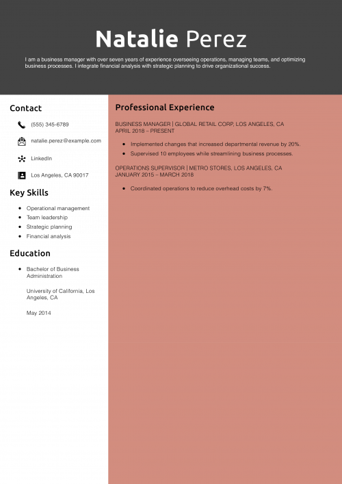 Business Manager Resume Example