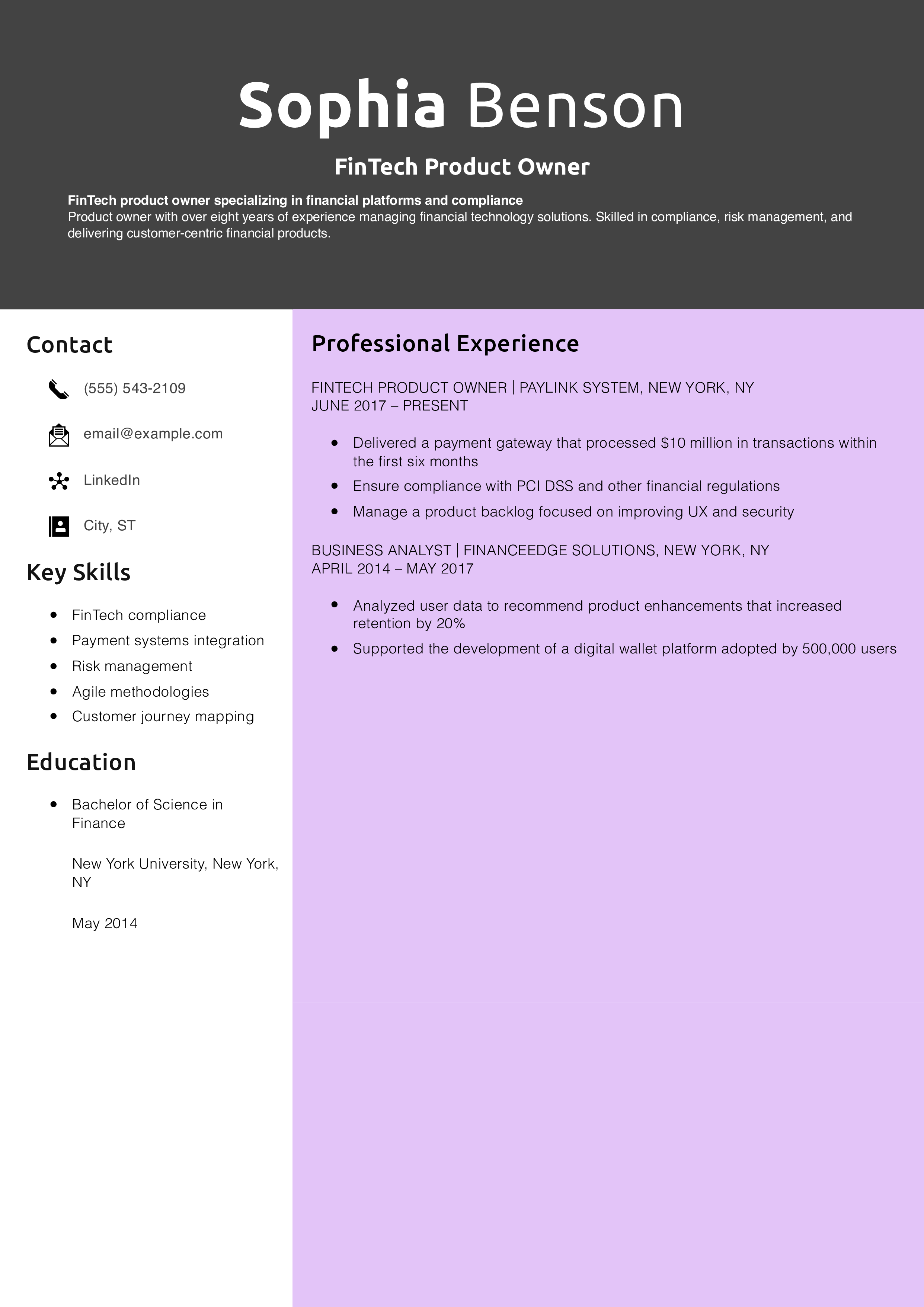 FinTech Product Owner Resume
